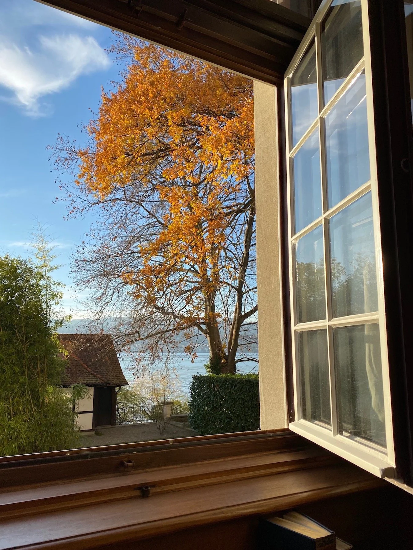 vr_blick_aus_dem_fenster_2020.jpg
