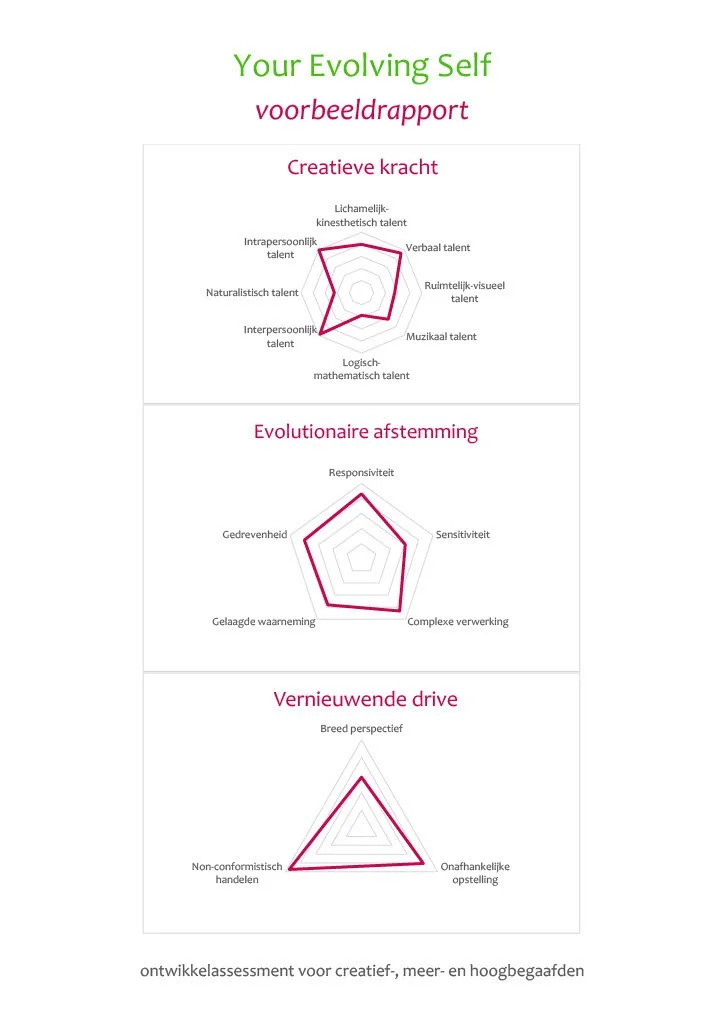 20221010 Your Evolving Self rapport_model_excerpt1024_1.jpg