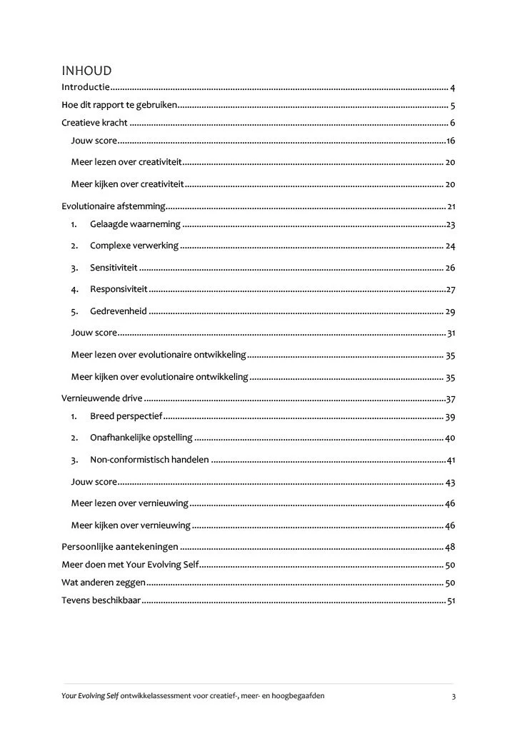 20221010 Your Evolving Self rapport_model_excerpt1024_2.jpg