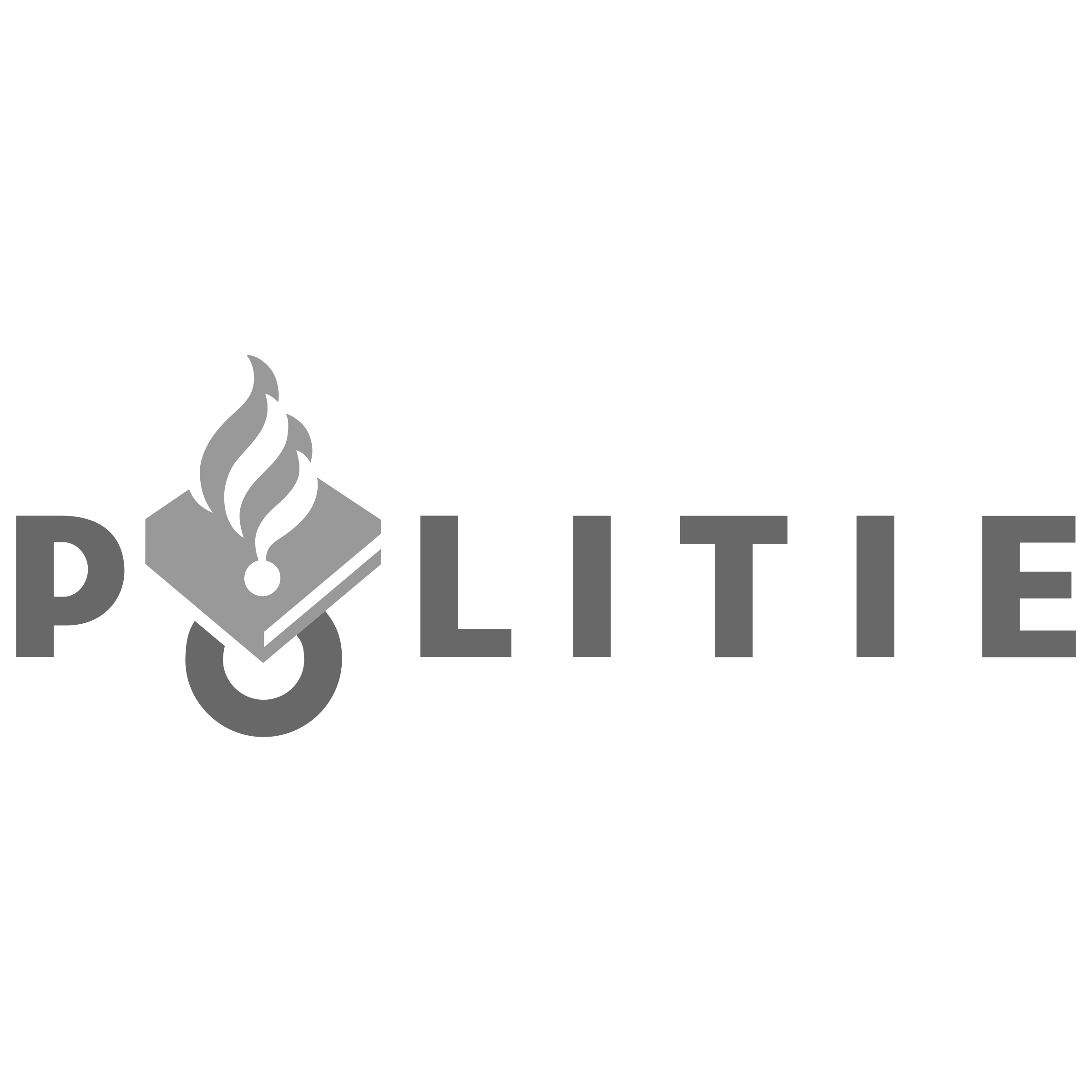 Nationale Politie