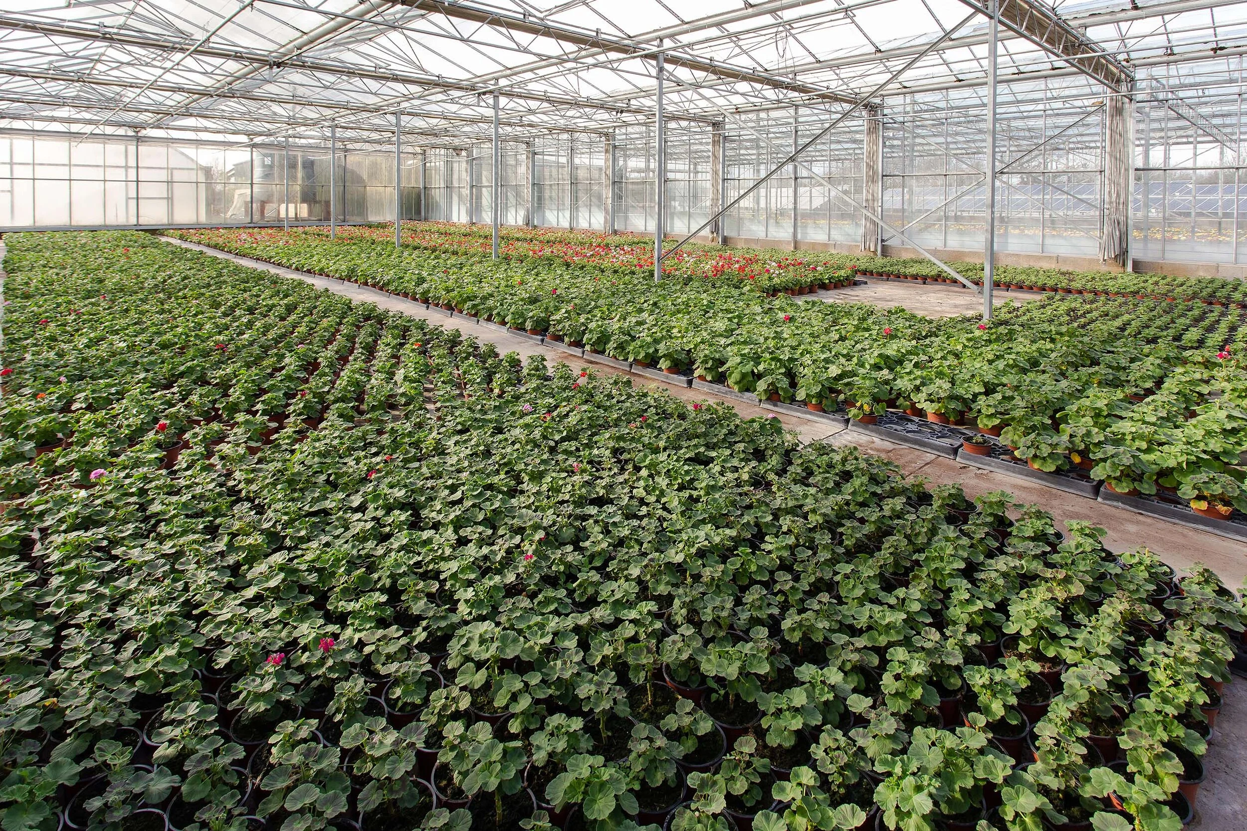 North_Farm_92.jpg