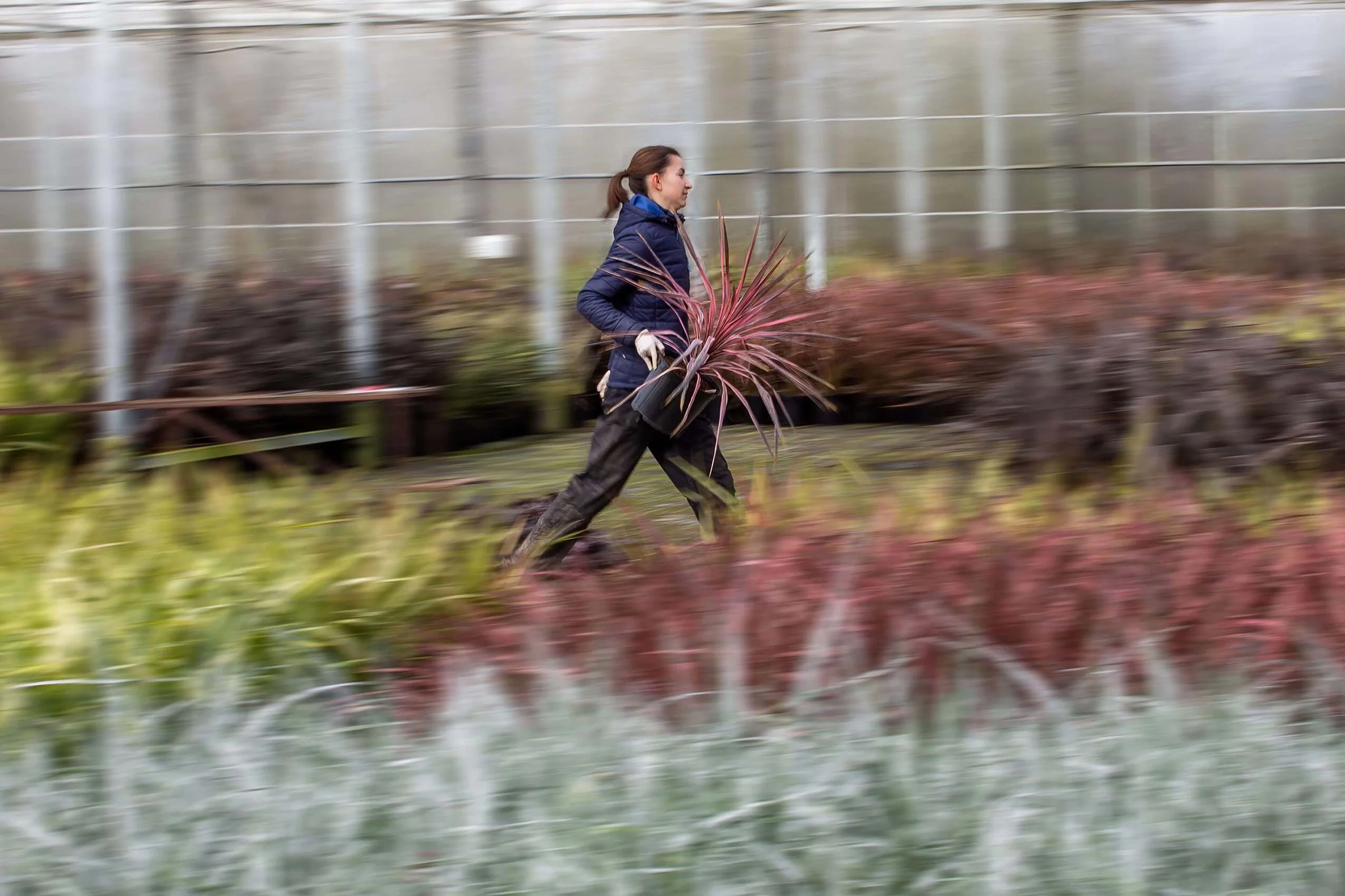 North_Farm_33.jpg