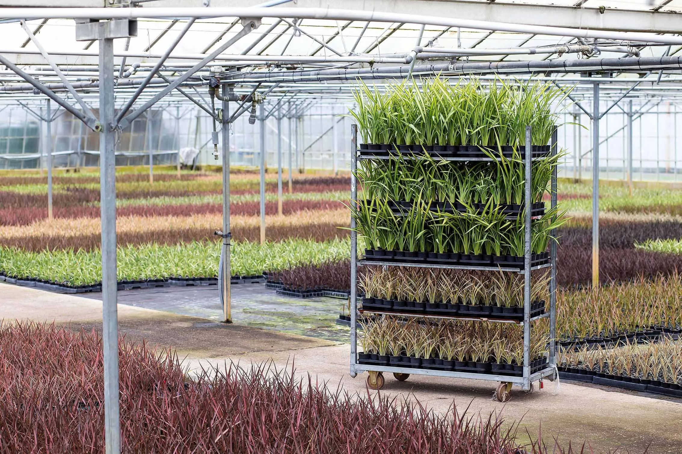 North_Farm_20.jpg