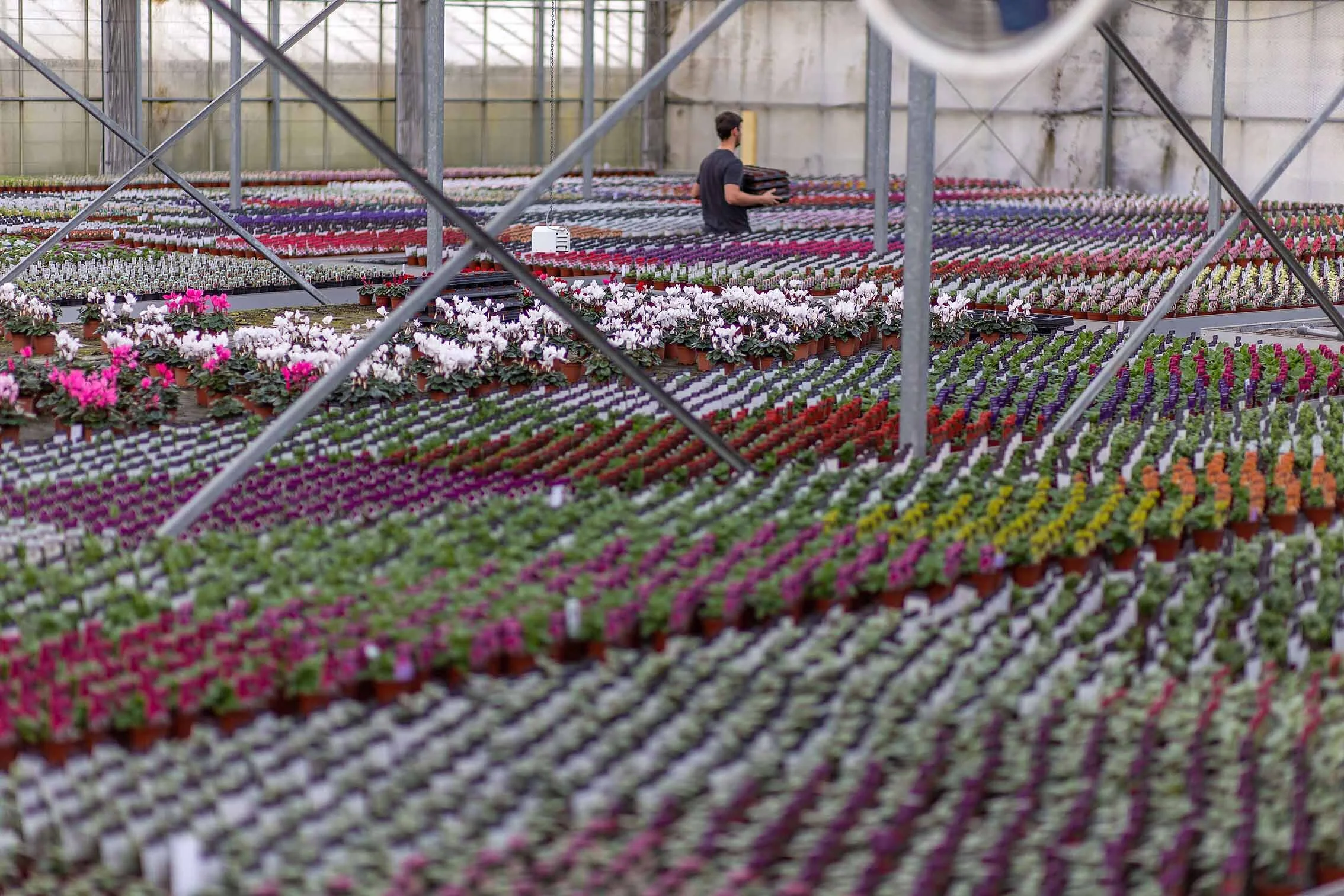 North_Farm_91.jpg