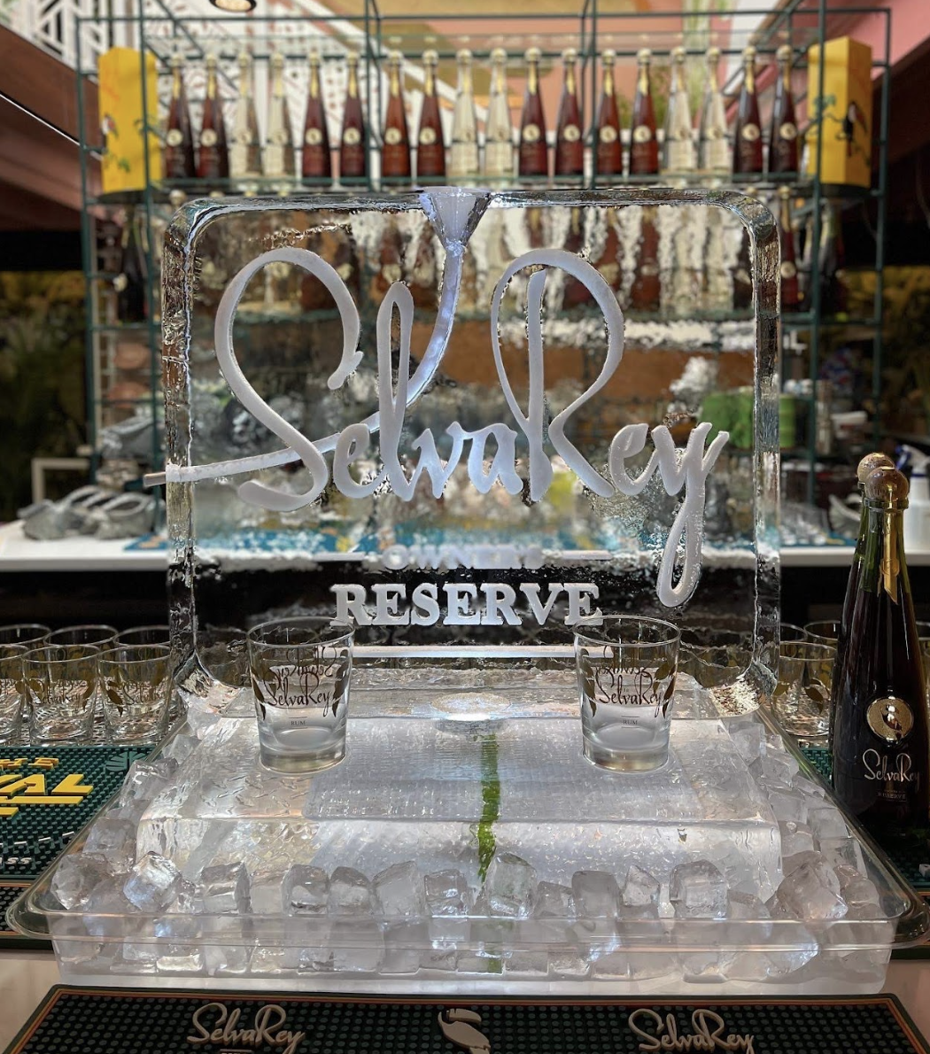 Bar Ice Luge 