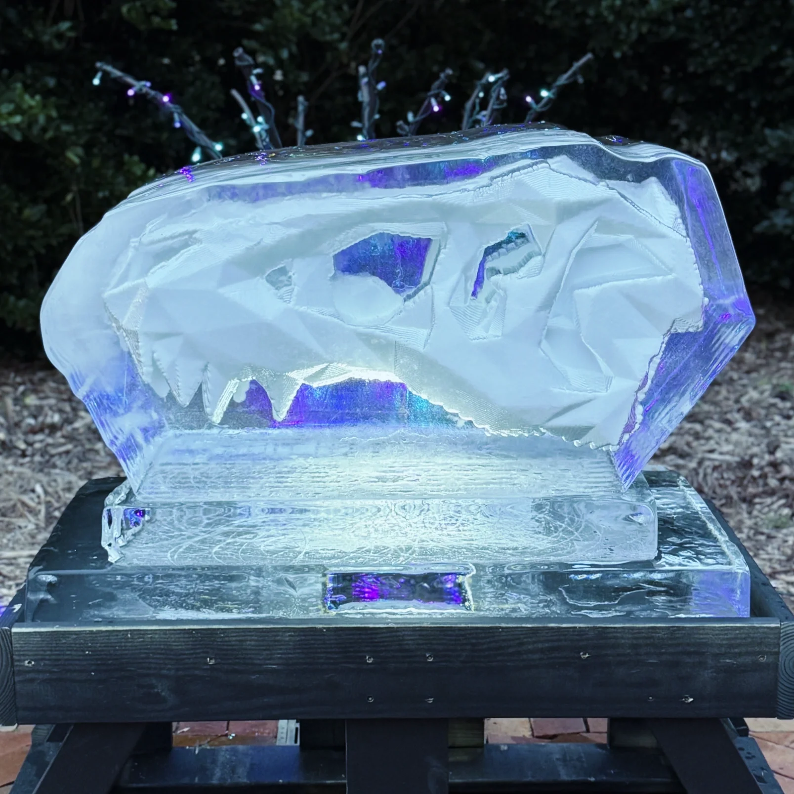 Dinosaur Ice Sculpture