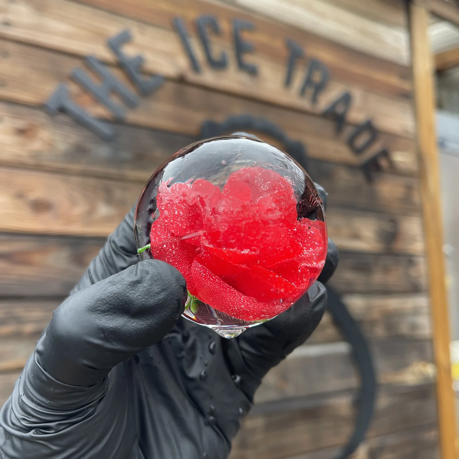 Cocktail Ice Gallery | Explore Unique Cocktail Ice Options — The Ice Trade