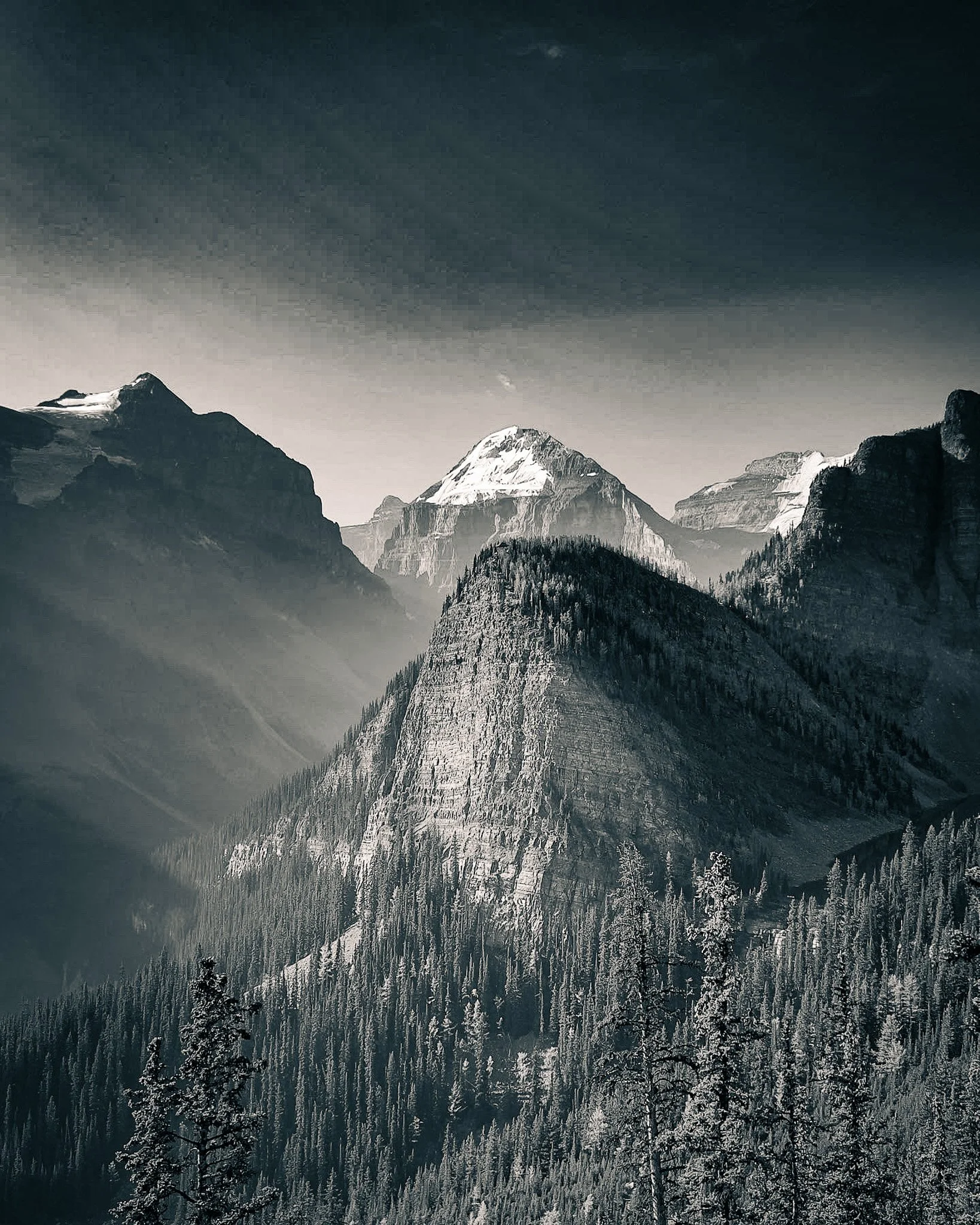 Snow-capped mountains in a black and white landscape, with a forest of evergreen trees in the foreground under a dark sky Alberta.
