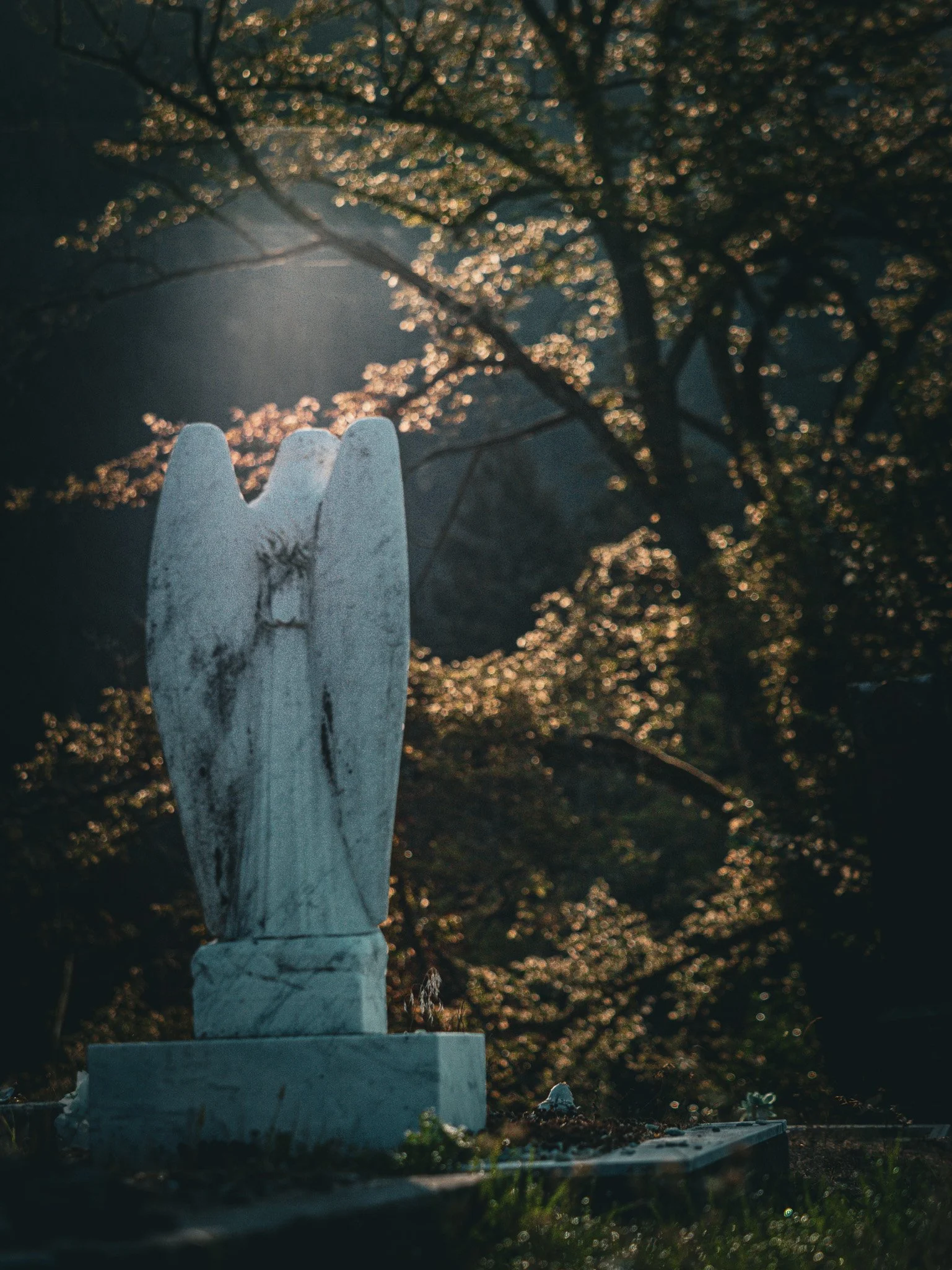 A white stone statue of Jesus Christ with arms raised, standing on a pedestal in a graveyard during sunset, with trees and blurred lights in the background.