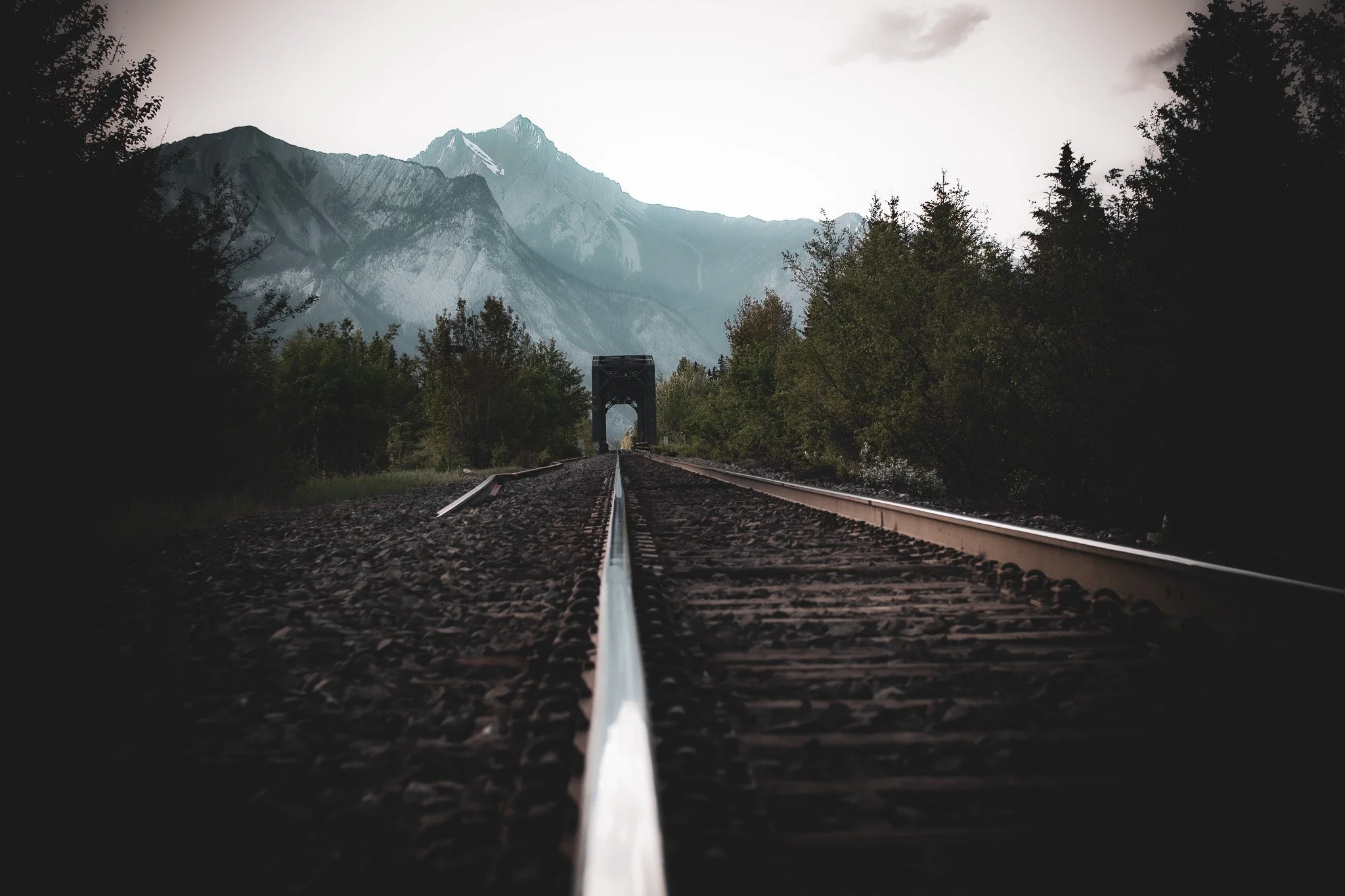 Train tracks running through a forested area with mountains in the background and a bridge in the distance.