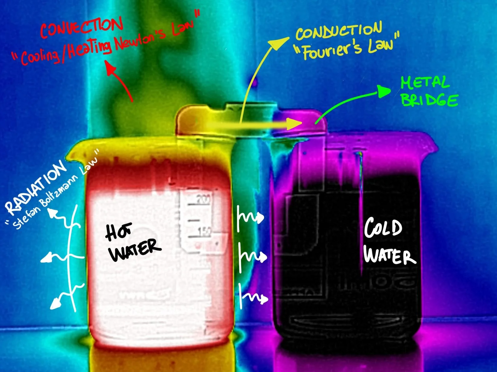 Infrared thermal image of two water bottles, one labeled 'Hot Water' and the other 'Cold Water', with color-coded annotations explaining heat transfer laws and components such as conduction, convection, and a metal bridge between the bottles.