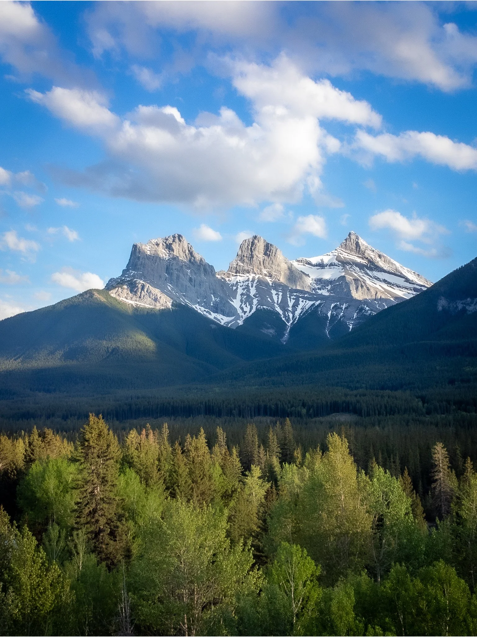 A scenic landscape featuring a mountain range with snow-capped peaks under a partly cloudy blue sky, a forested hillside with dense green trees in the foreground Canmore Alberta