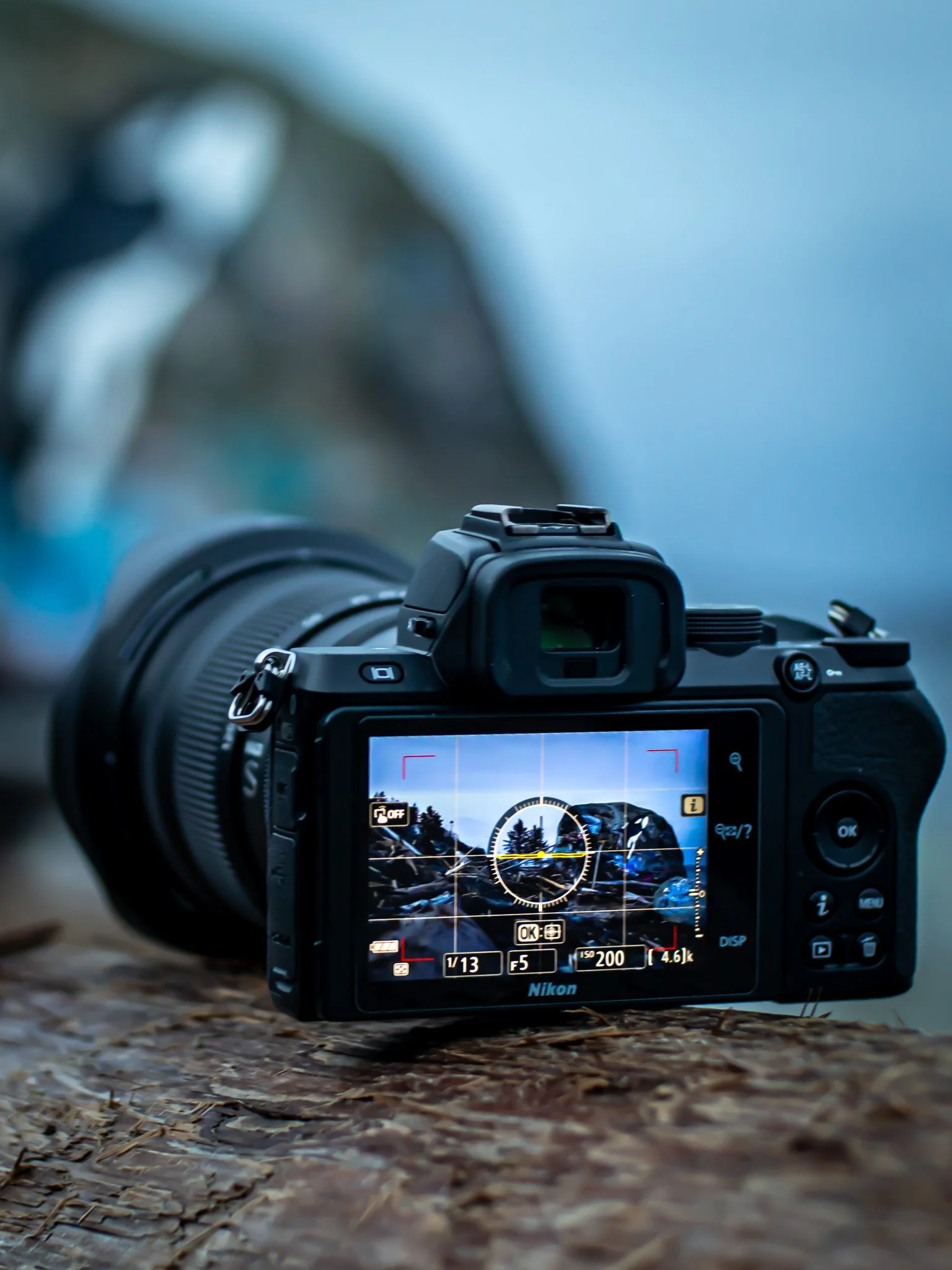 A close-up of a Nikon digital camera on a ground covered with leaves and small debris, with a mountain landscape visible on the camera's screen Vancouver Island.