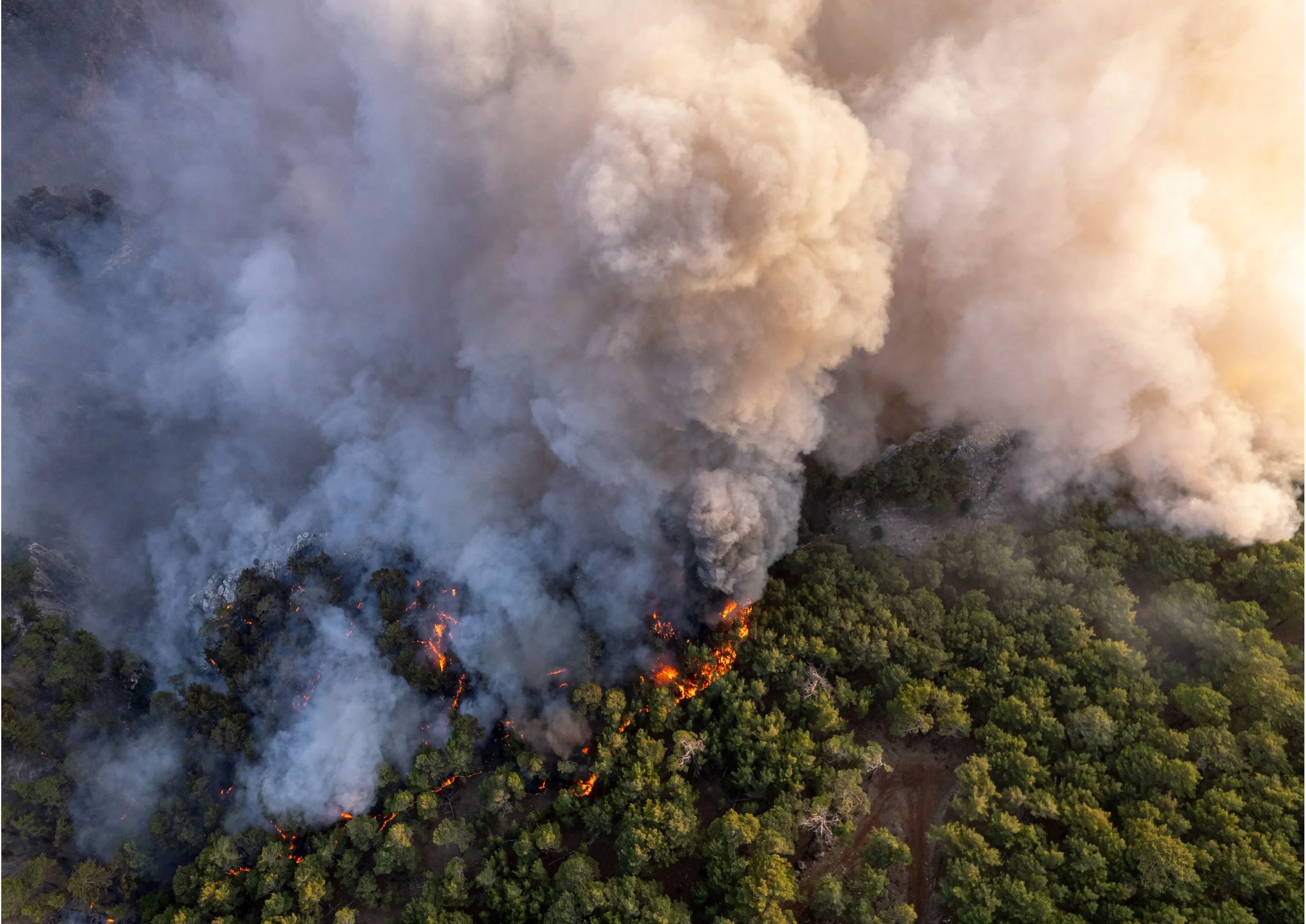 A wildfire burning through a forest with large amounts of smoke billowing into the sky.