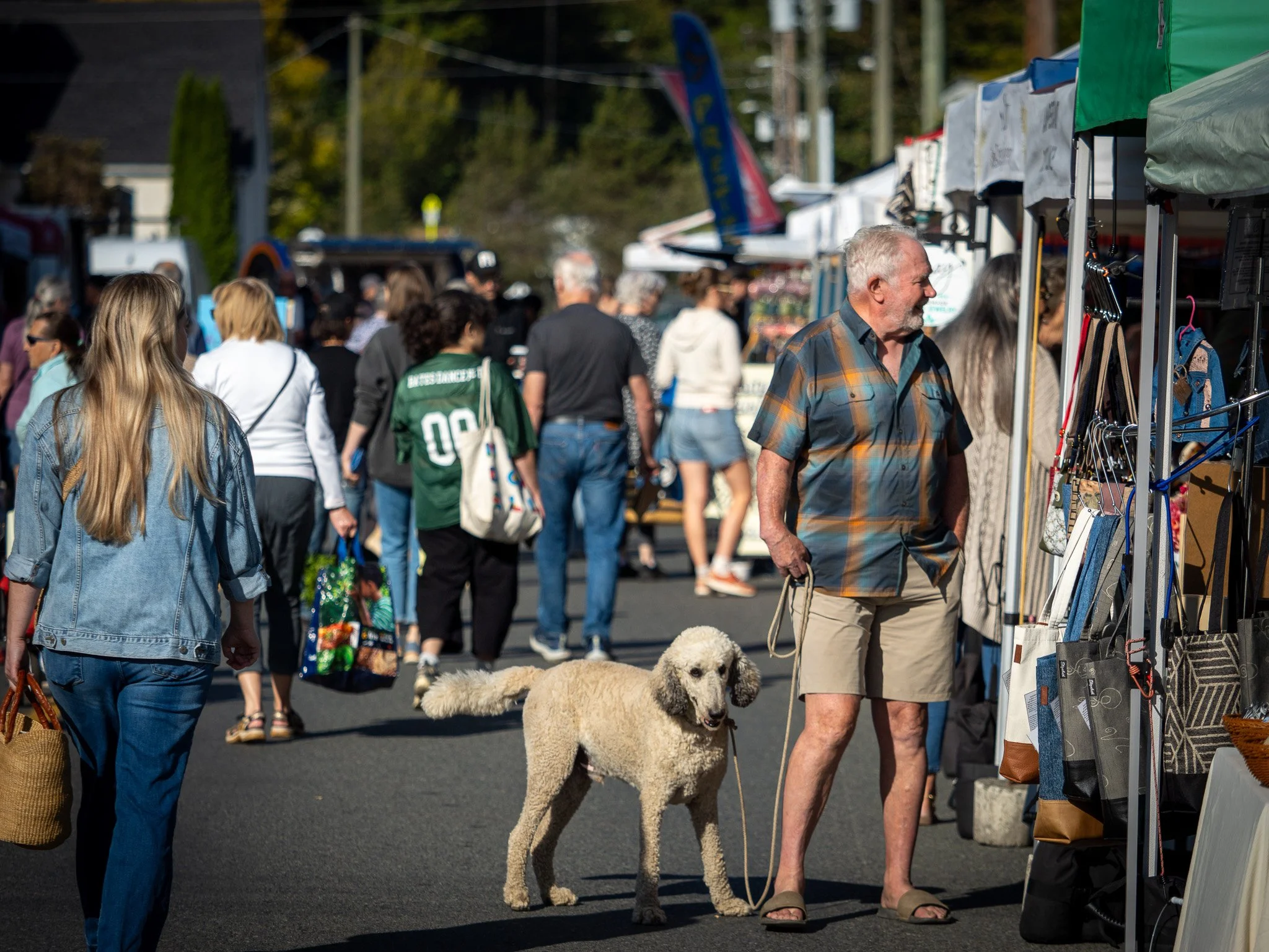 People walking at an outdoor market with stalls, trees, and power lines in the background. A man with gray hair and a beard is holding a dog on a leash, and there is a dog on the ground in front of him Duncan BC Vancouver Island.