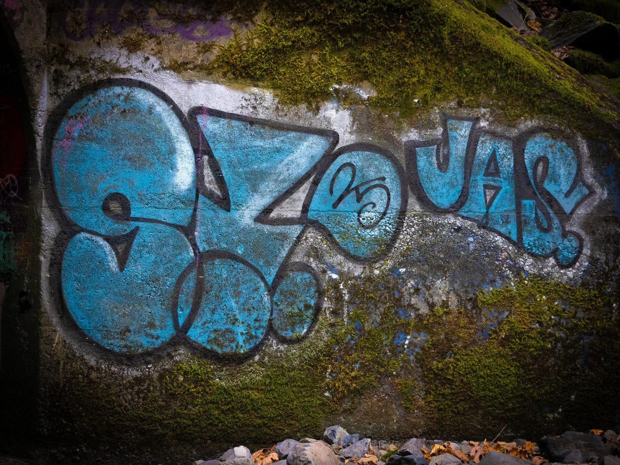 Graffiti on a moss-covered concrete wall, featuring a blue and black design at Goldstream Provincial Park Vancouver Island
