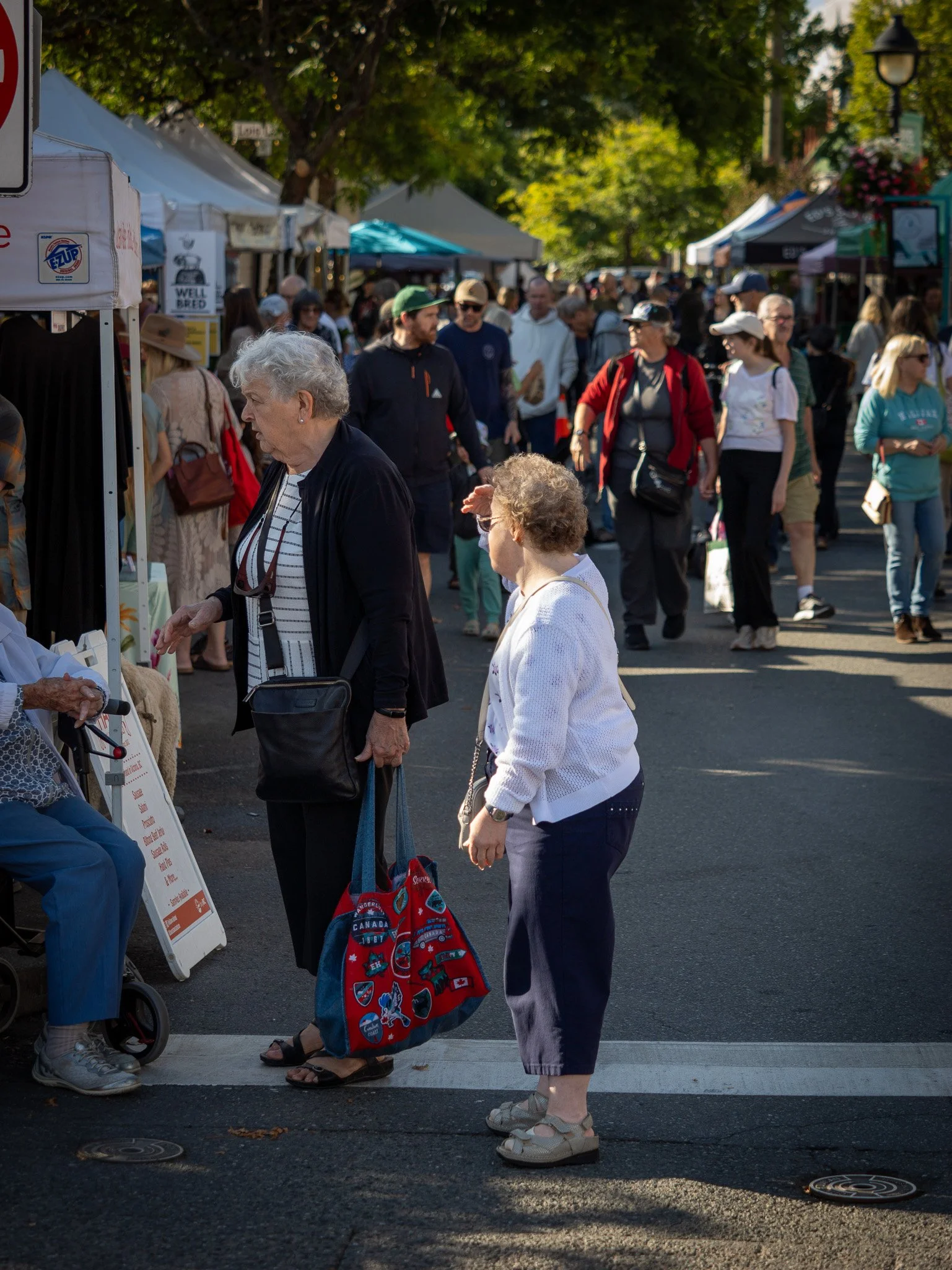 People walking at an outdoor market under trees with tents and stalls, some looking at items and chatting. Sunlight filters through the trees Duncan BC Vancouver Island.