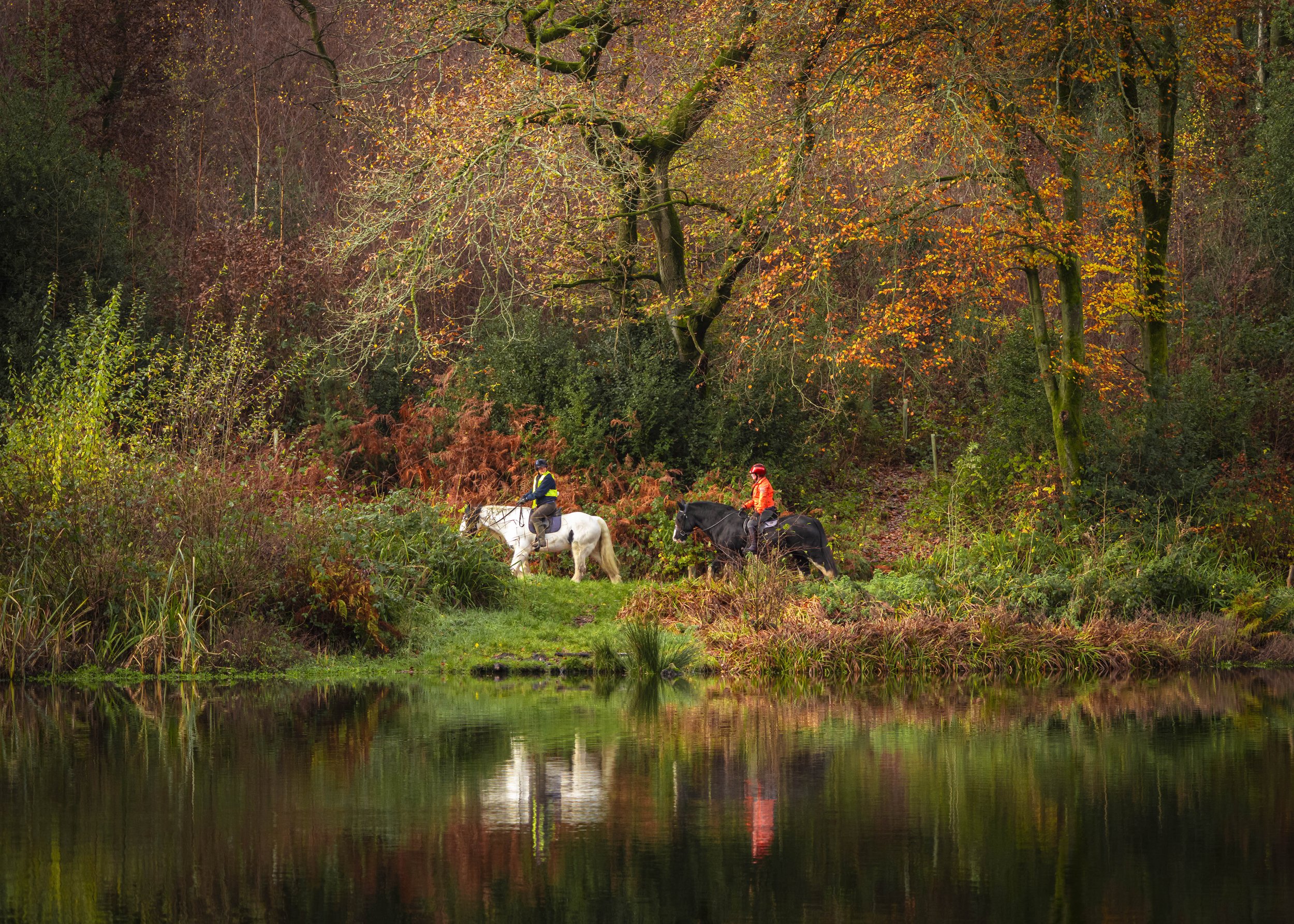 Two horse ridiers passing pond in autumn
