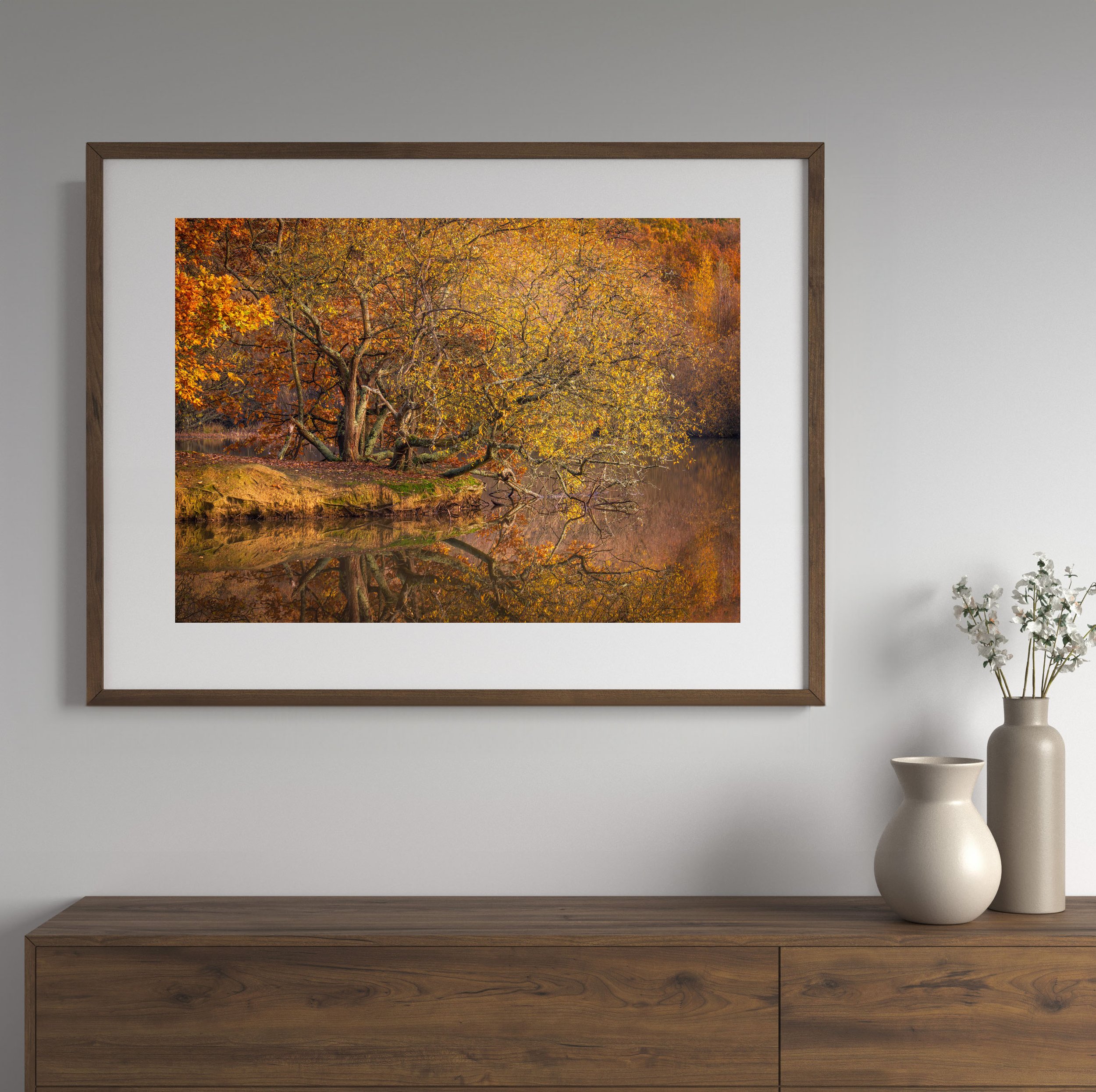 SymphonyOfColour-FramedPrint.jpg
