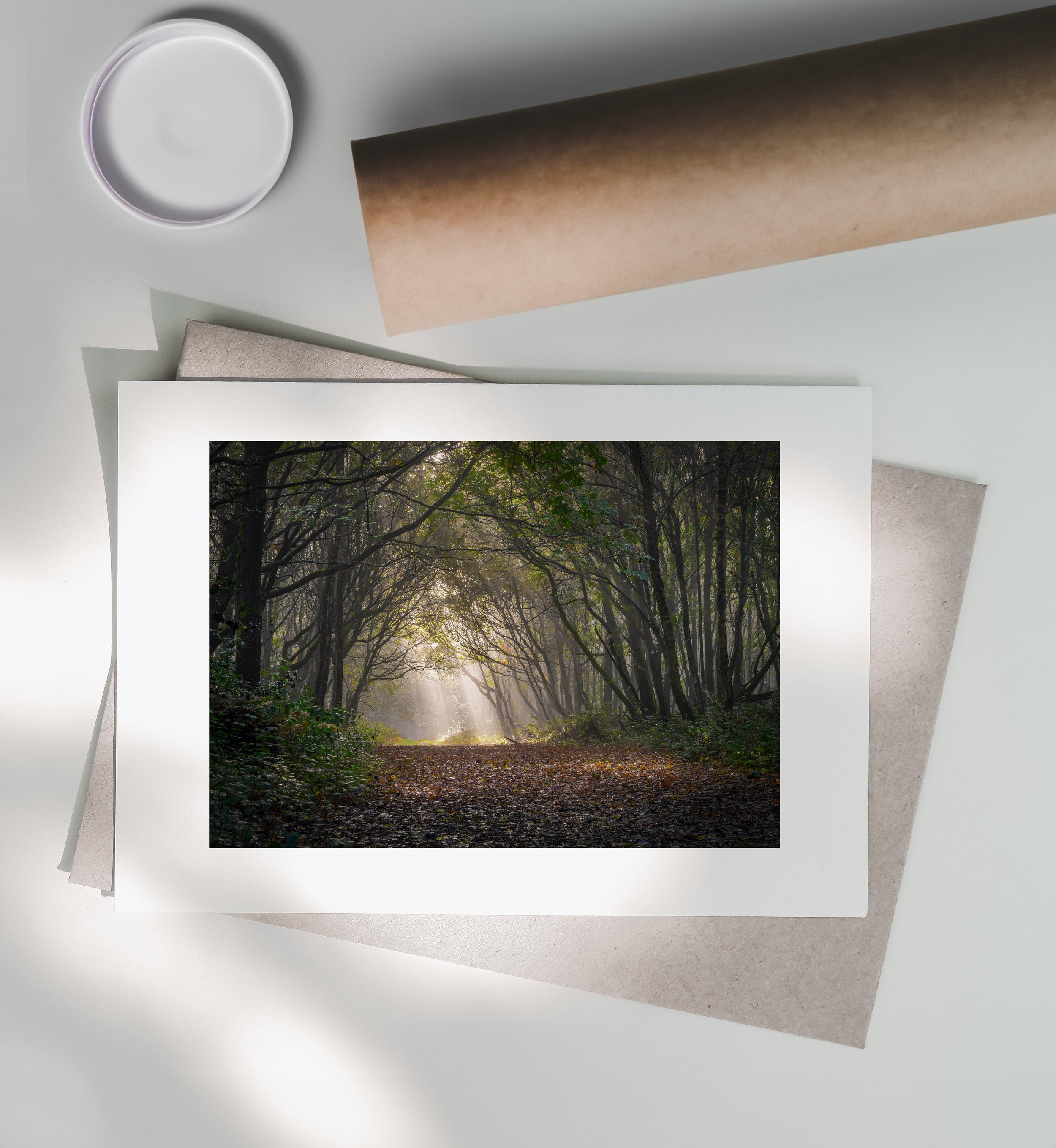 SunlightBreaksThrough_Print-Postal-Tube_Landscape.jpg