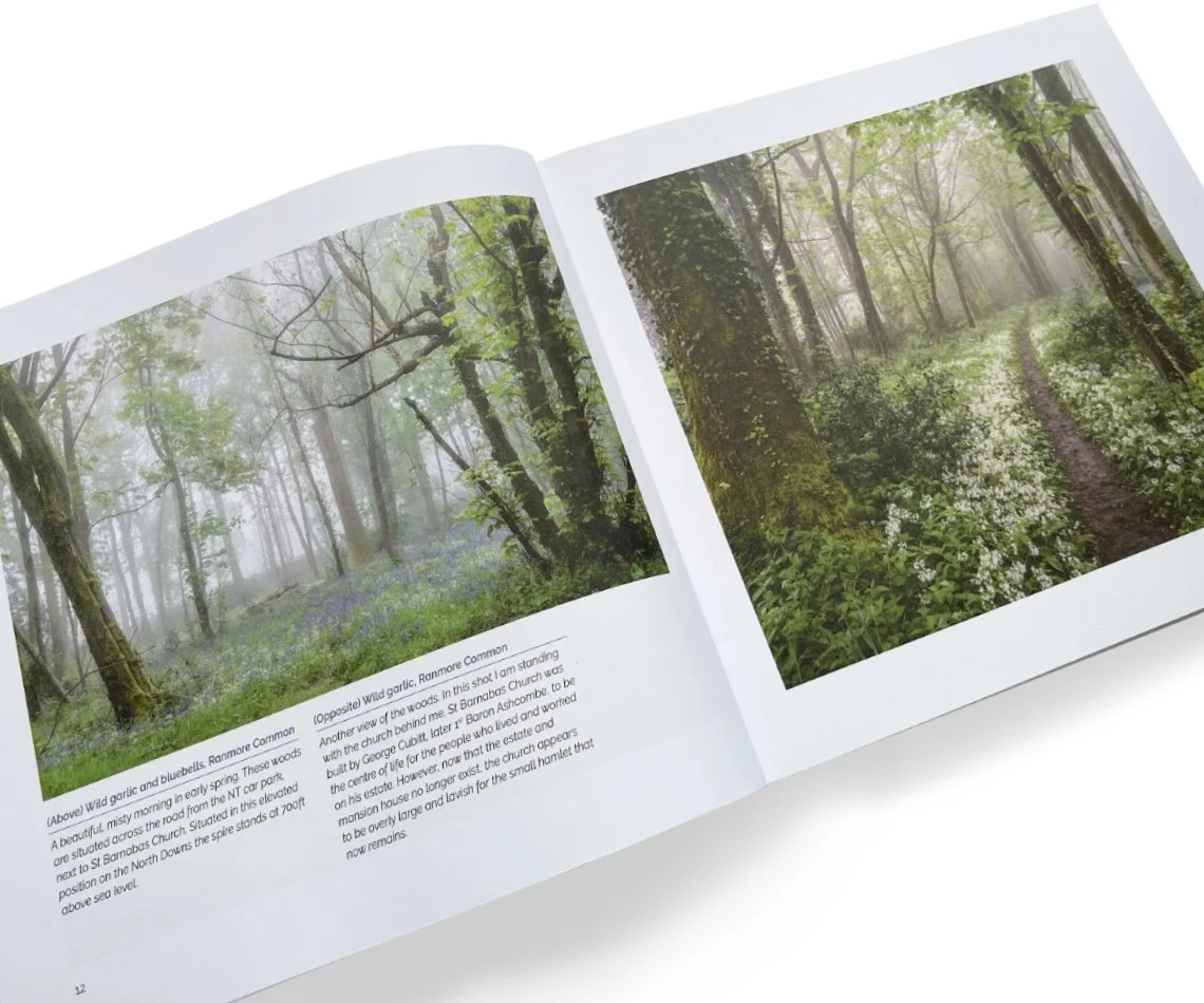 InAndAroundTheSurreyHills_Spread3.jpg