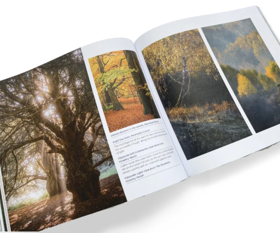 InAndAroundTheSurreyHills_Spread6.jpg