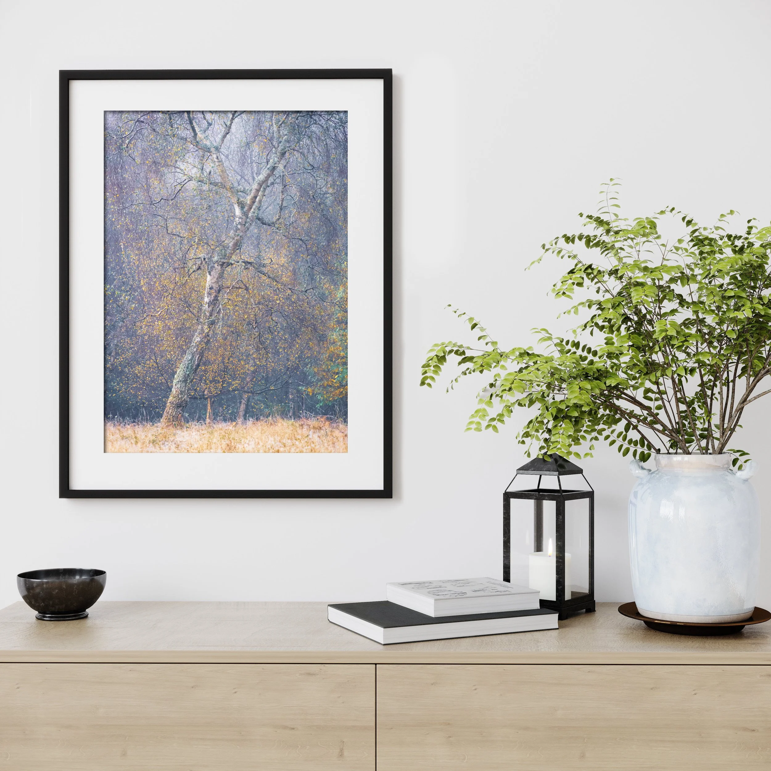 Last-Of-Autumn-Colour-Framed.jpg