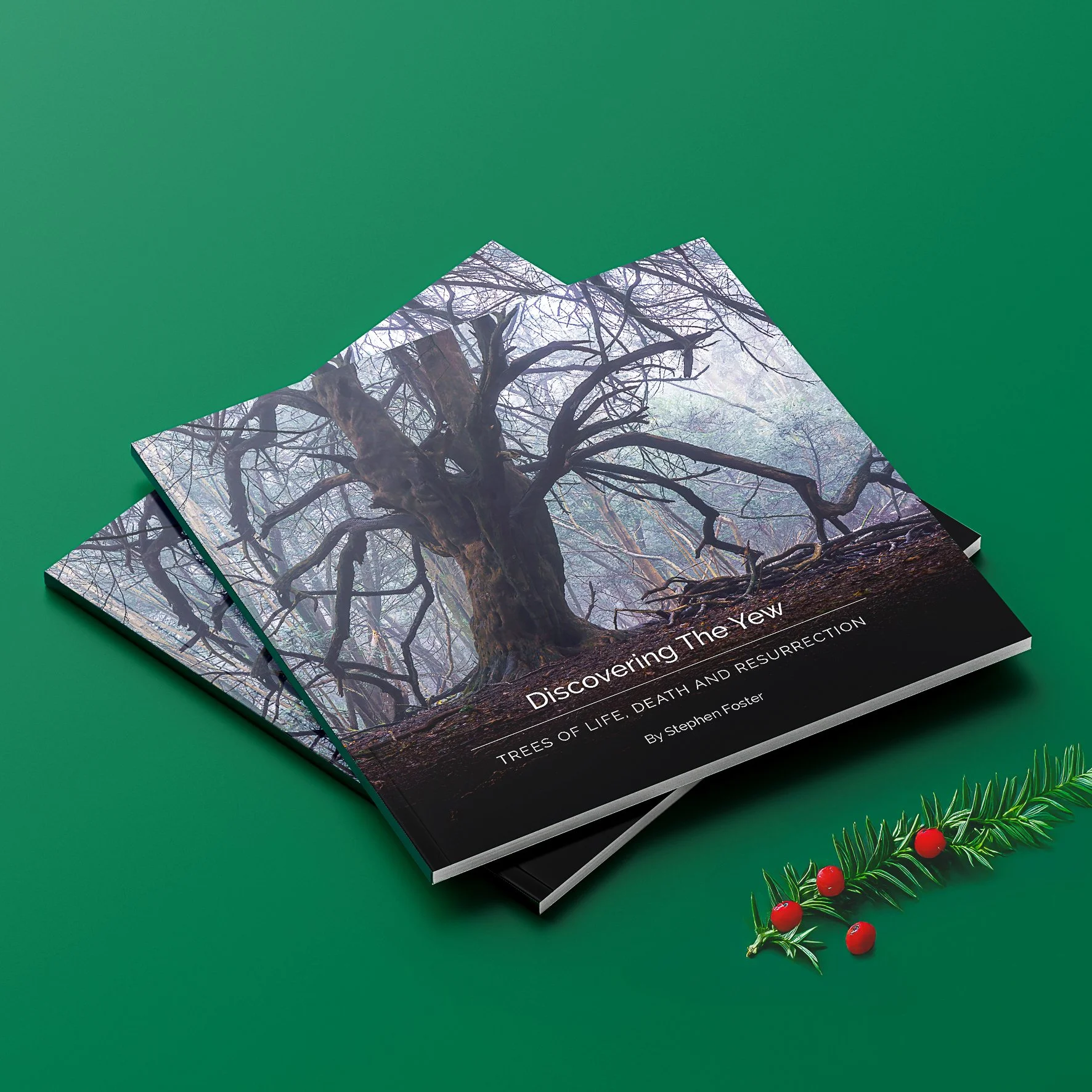 Perfect_Binding_Brochure_Mockup_3 copy.jpg