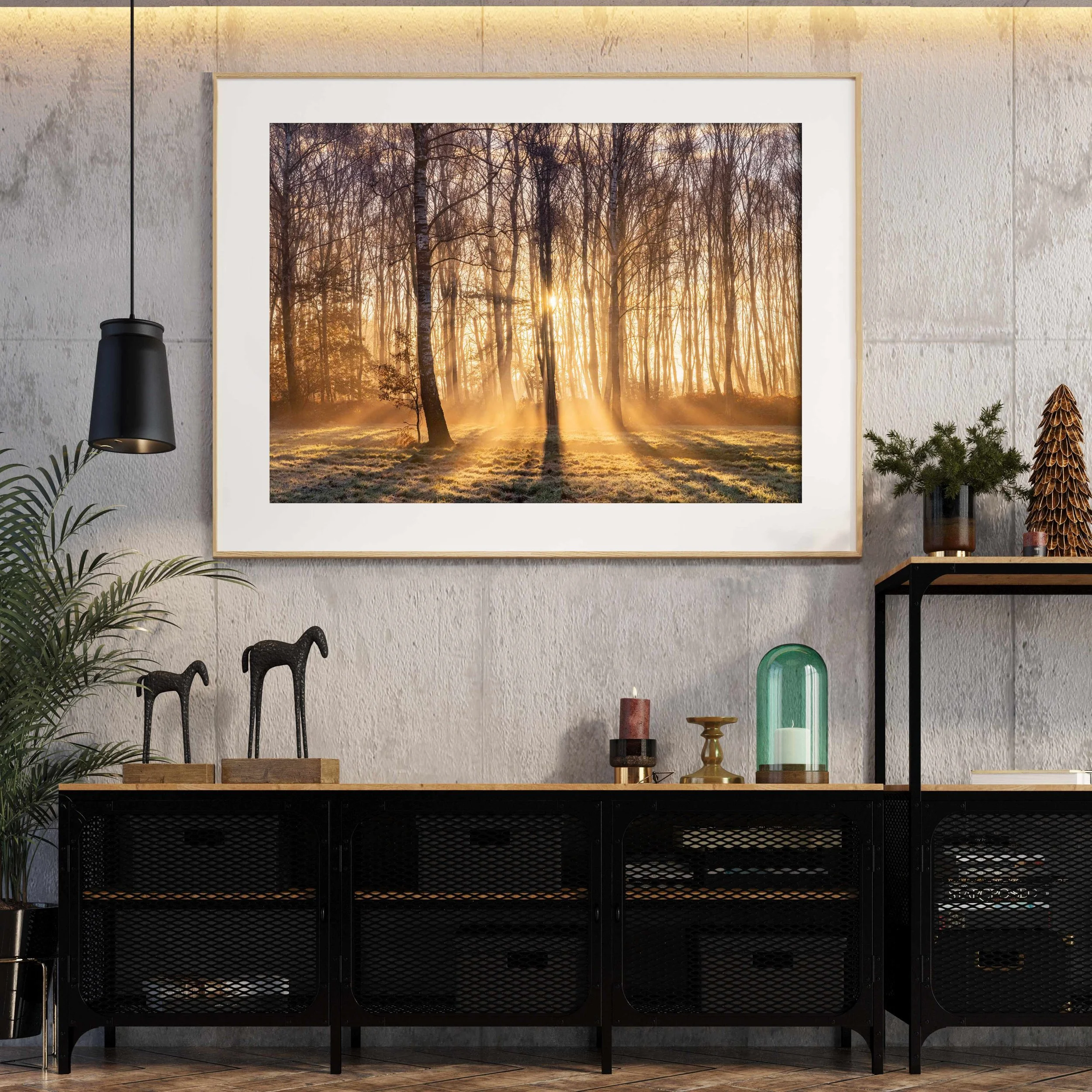 Sunrise-Through-The-Trees-Framed.jpg