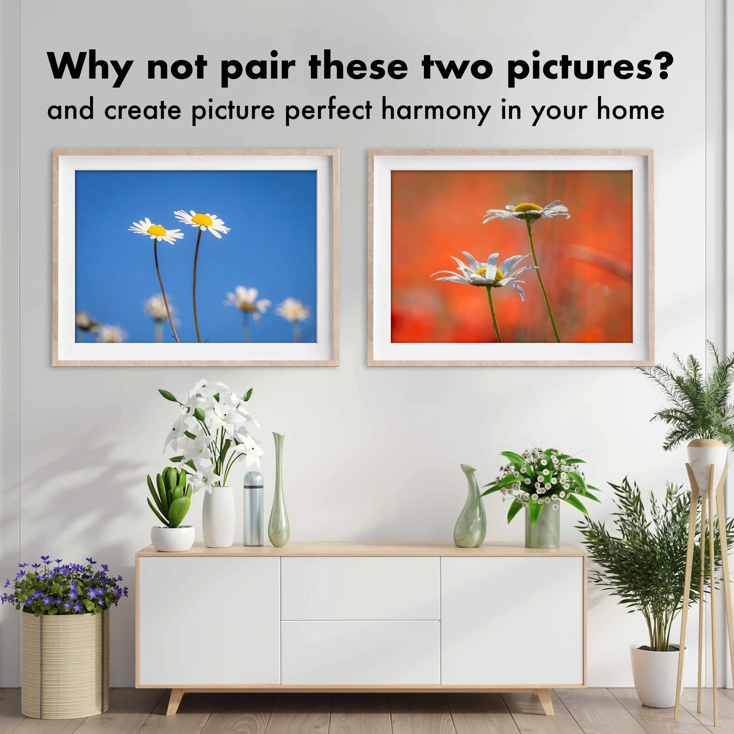 OxeyeDaisy-Blue-Red-Framed-Pair.jpg