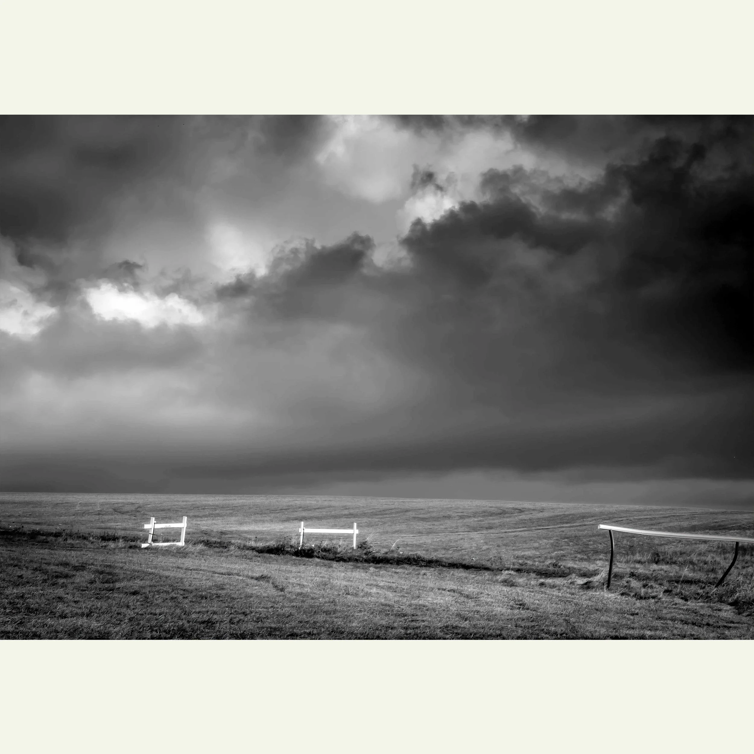 The-Gallops-P1030208-Edit.jpg