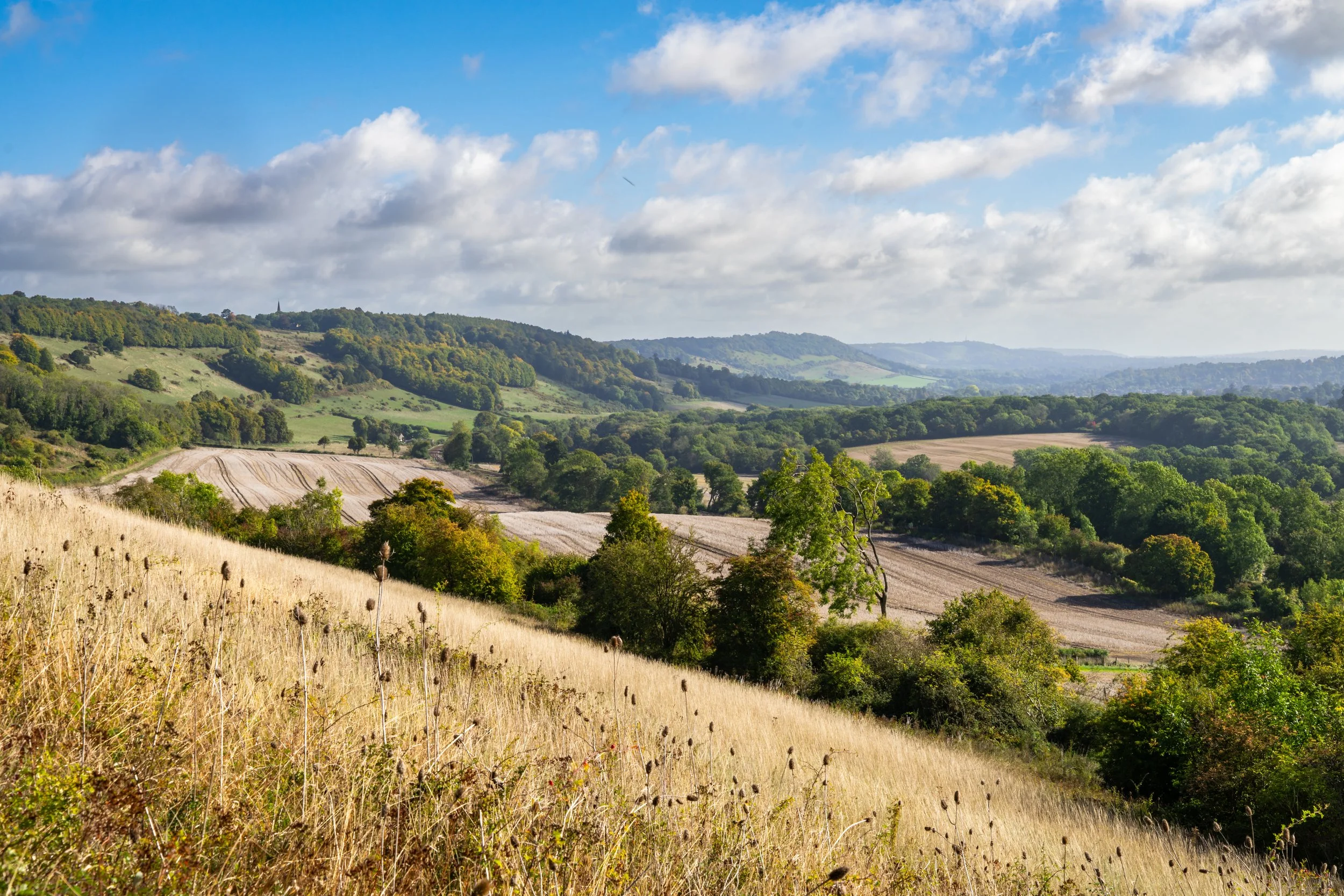 A beautiful scenic view of the Surrey Hills National Landscape looking towards Box Hill. Taken from spot on the North Downs Way known as 'Heavens Seat'.