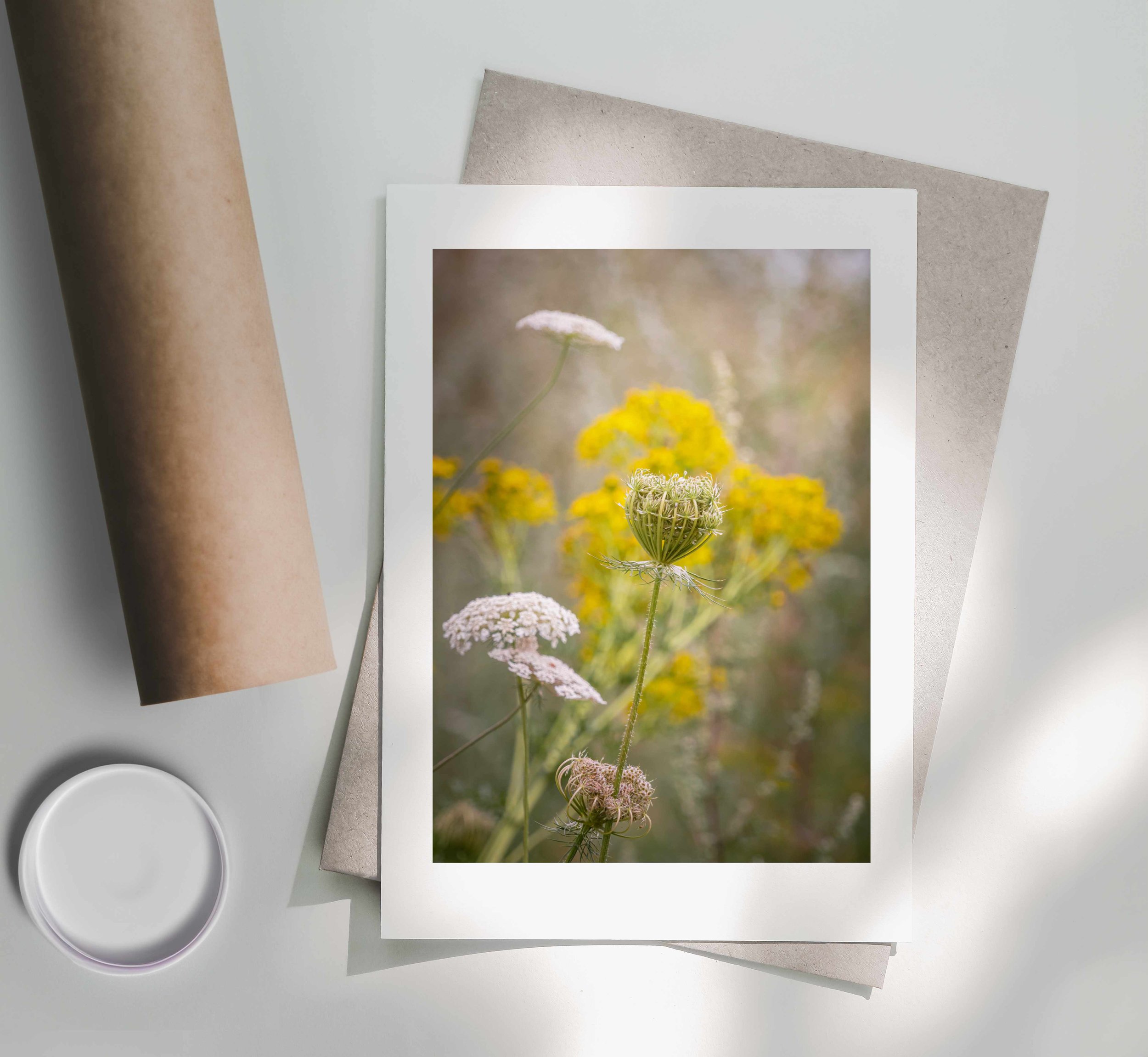 Queen-Annes-Lace-Print-Postal-Tube.jpg
