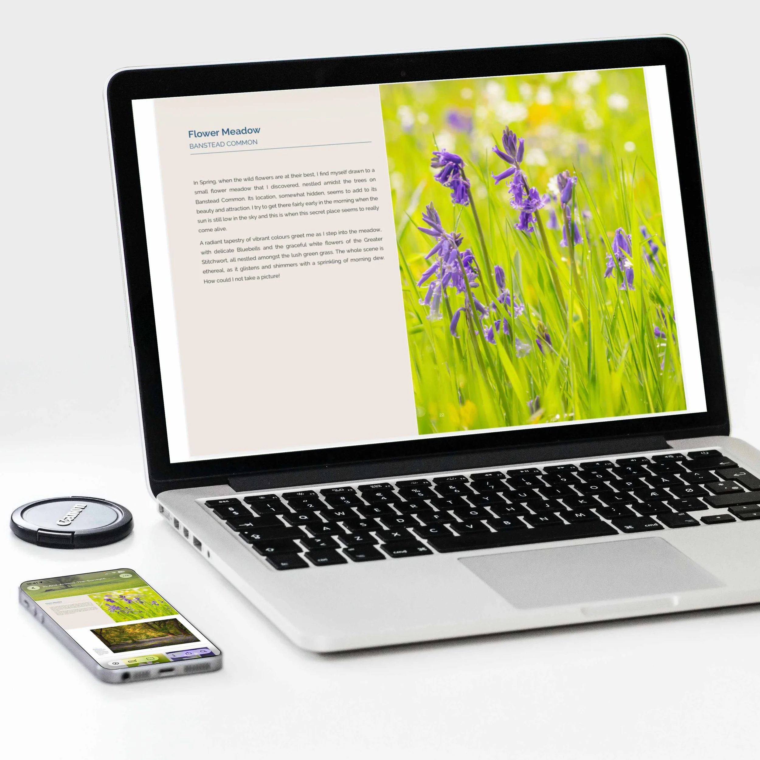 eBook-FlowerMeadow-Phone-laptop-5272766.jpg