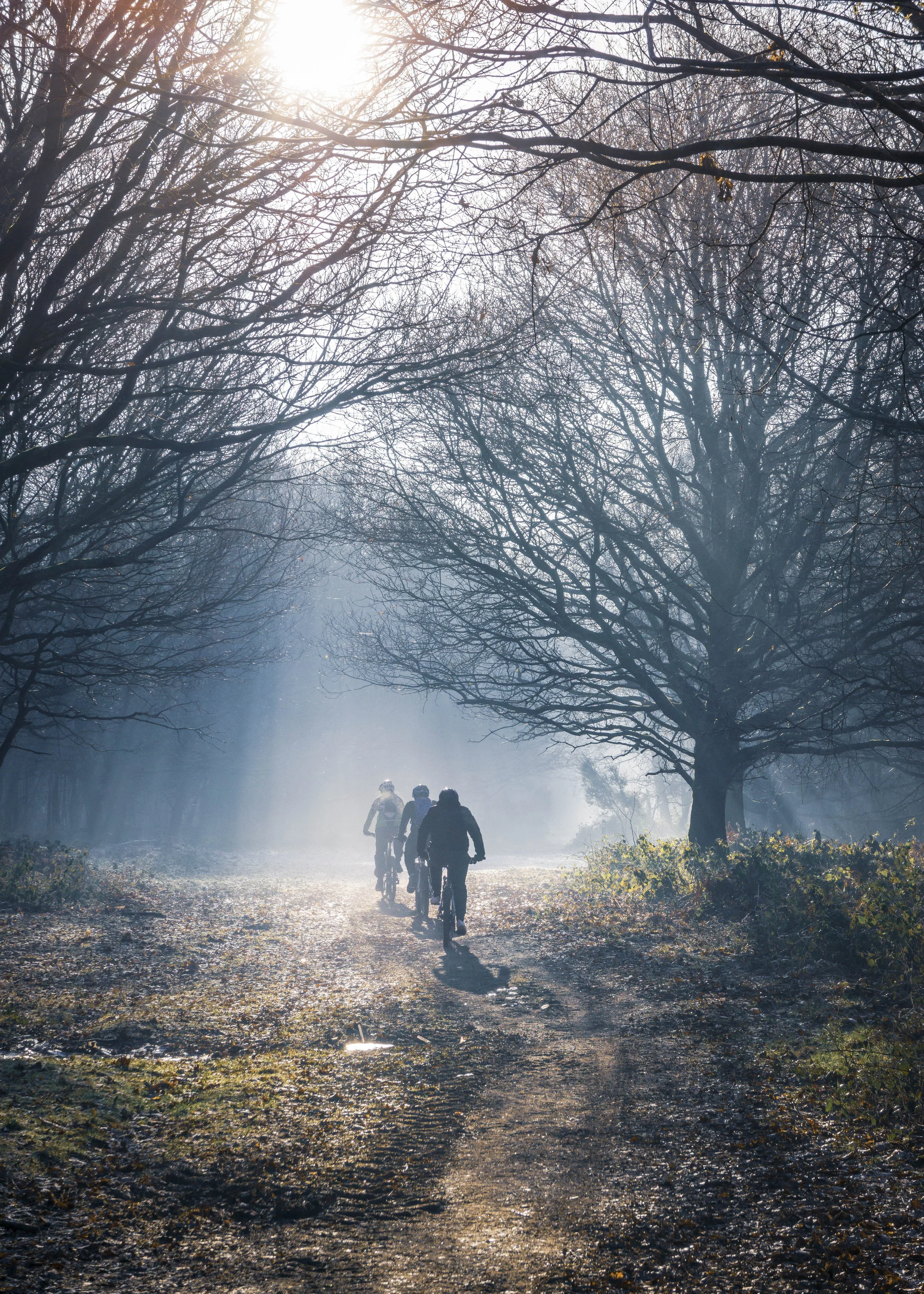 Mountain Biking on a cold misty morning
