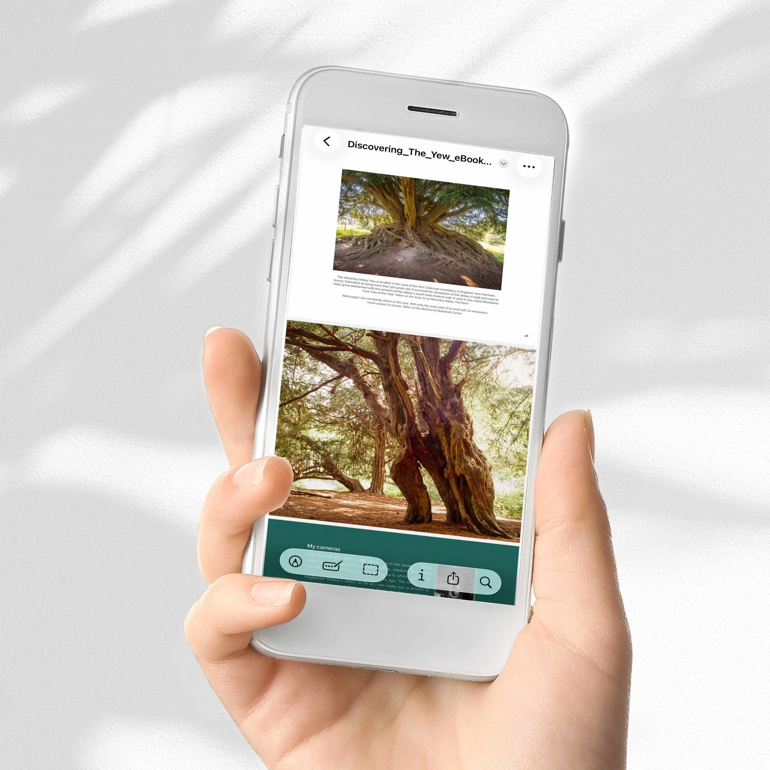 Discovering-Yew-Phone.jpg