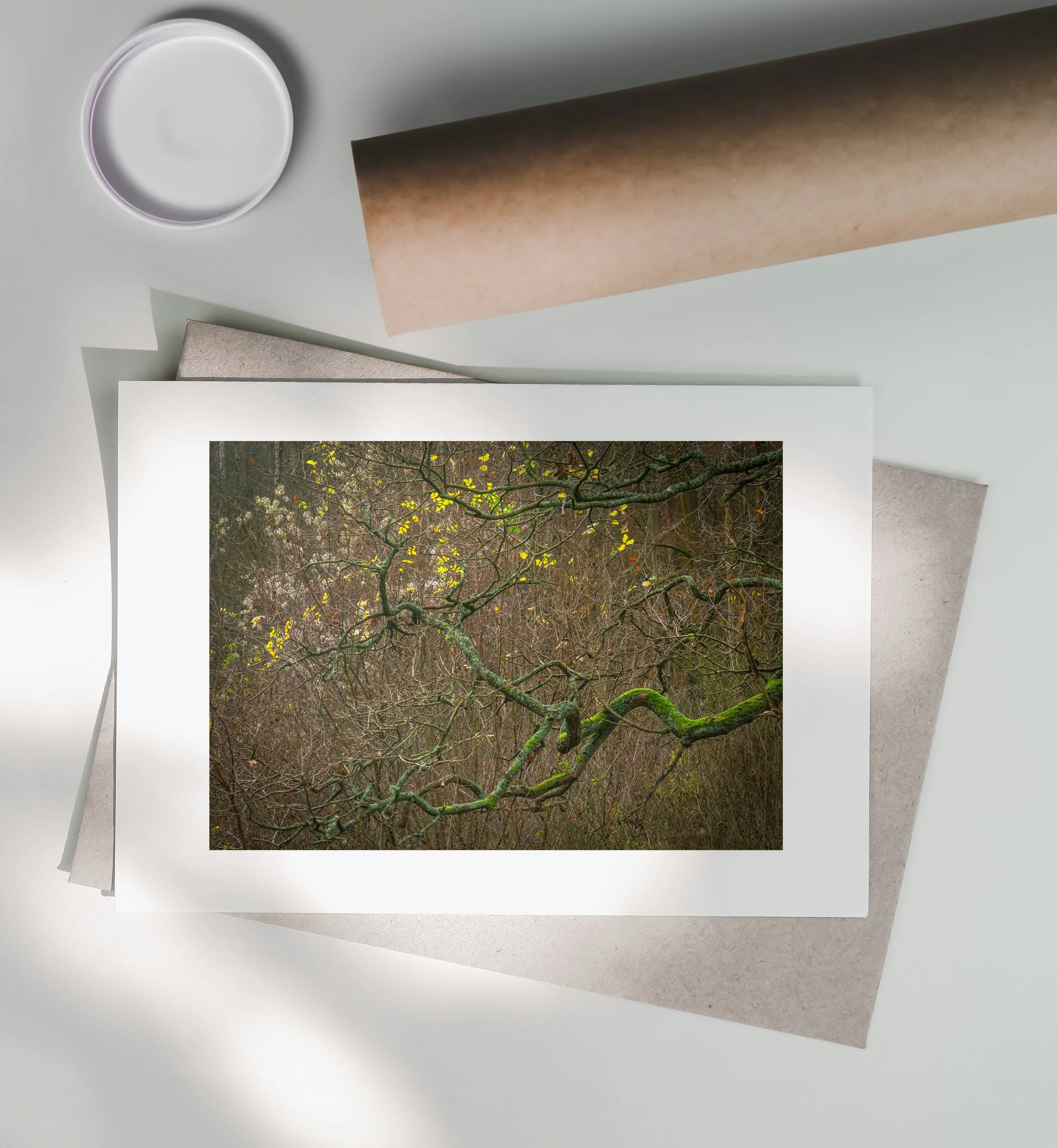 Autumns-Last-Hold-Print-Postal-Tube.jpg