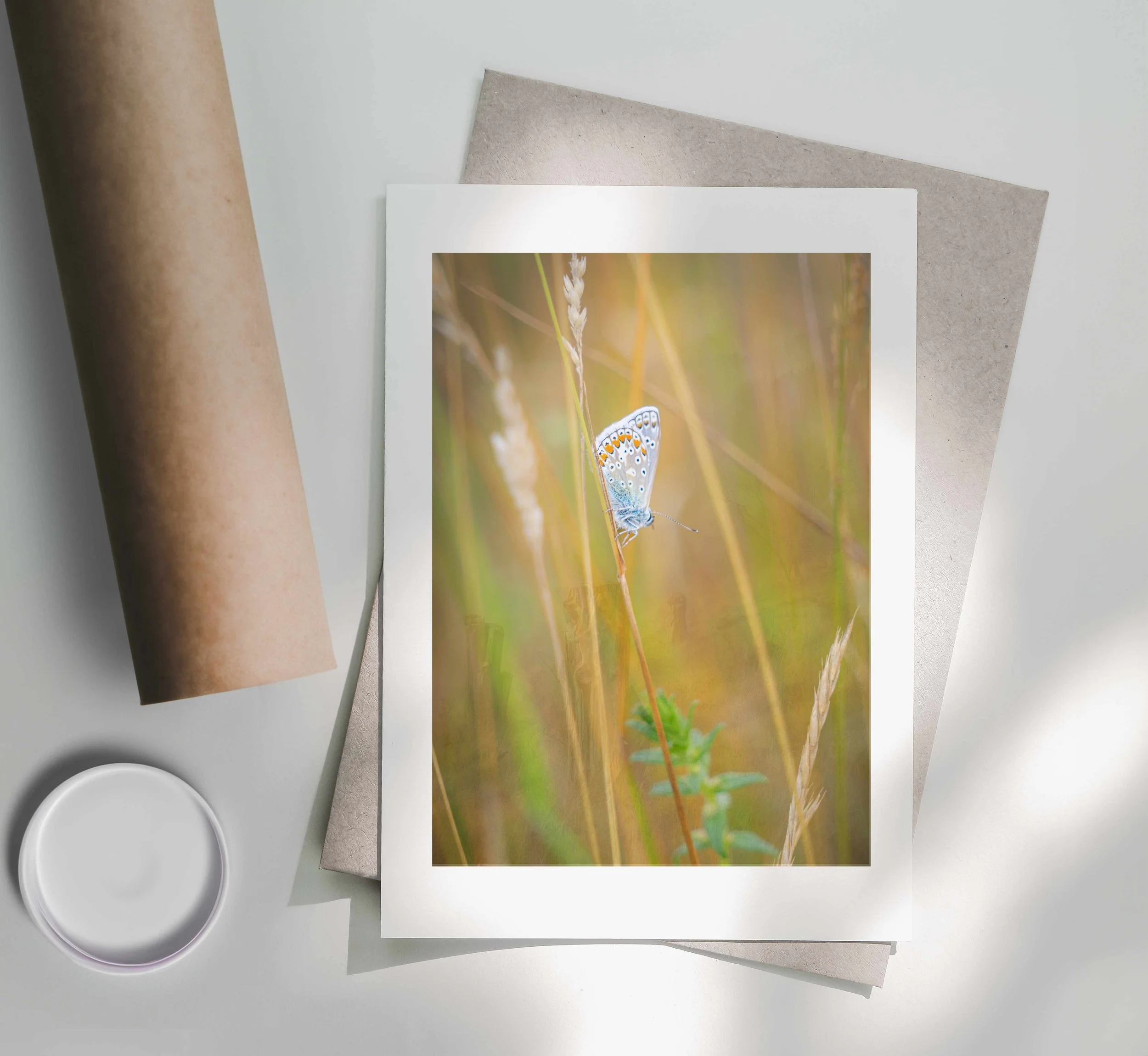 Chalkhill-Blue-Butterfly-Print-Postal-Tube.jpg