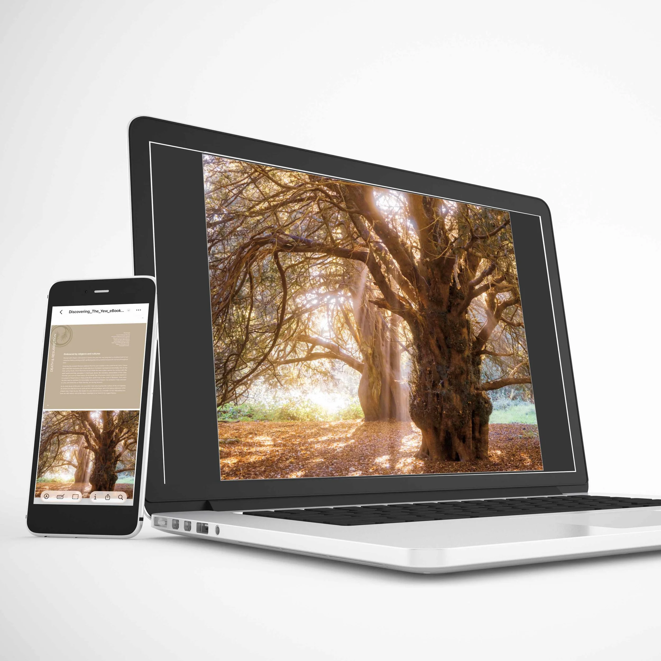 Phone-Laptop-Discover-Yew-AS_278745912.jpg