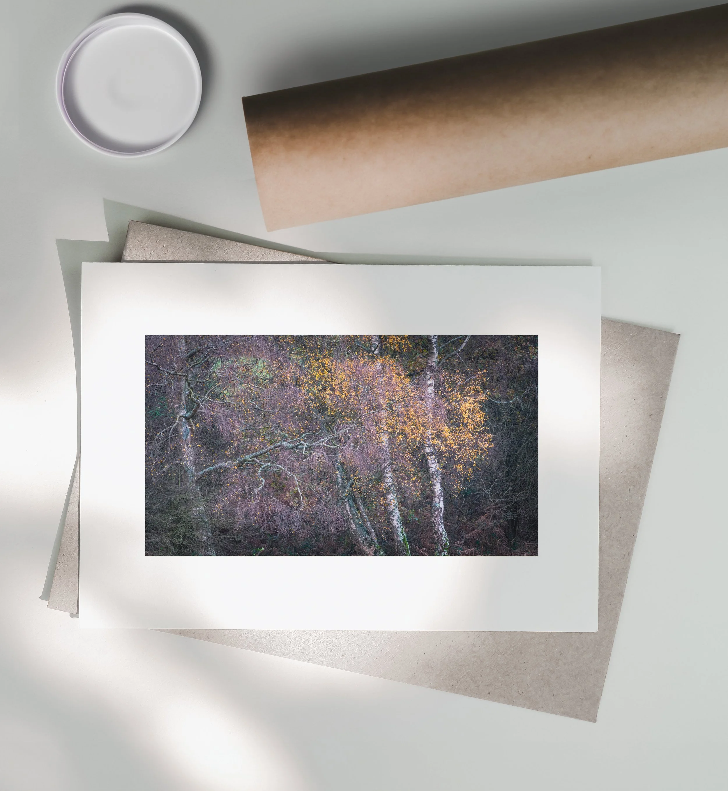 Autumn-Abstraction-Print-Postal-Tube.jpg