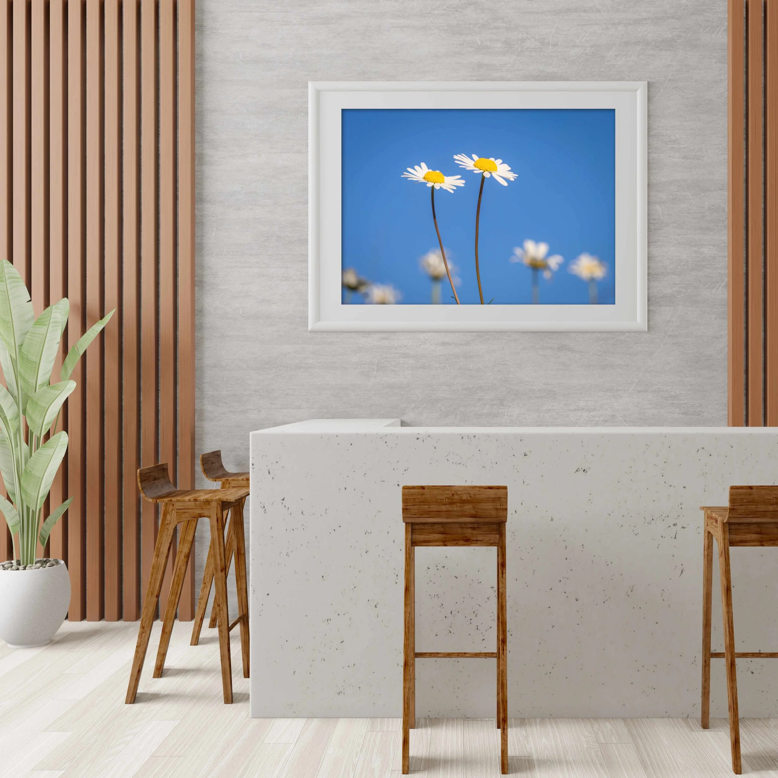 Oxeye-Daisies-On-Blue_Framed.jpg