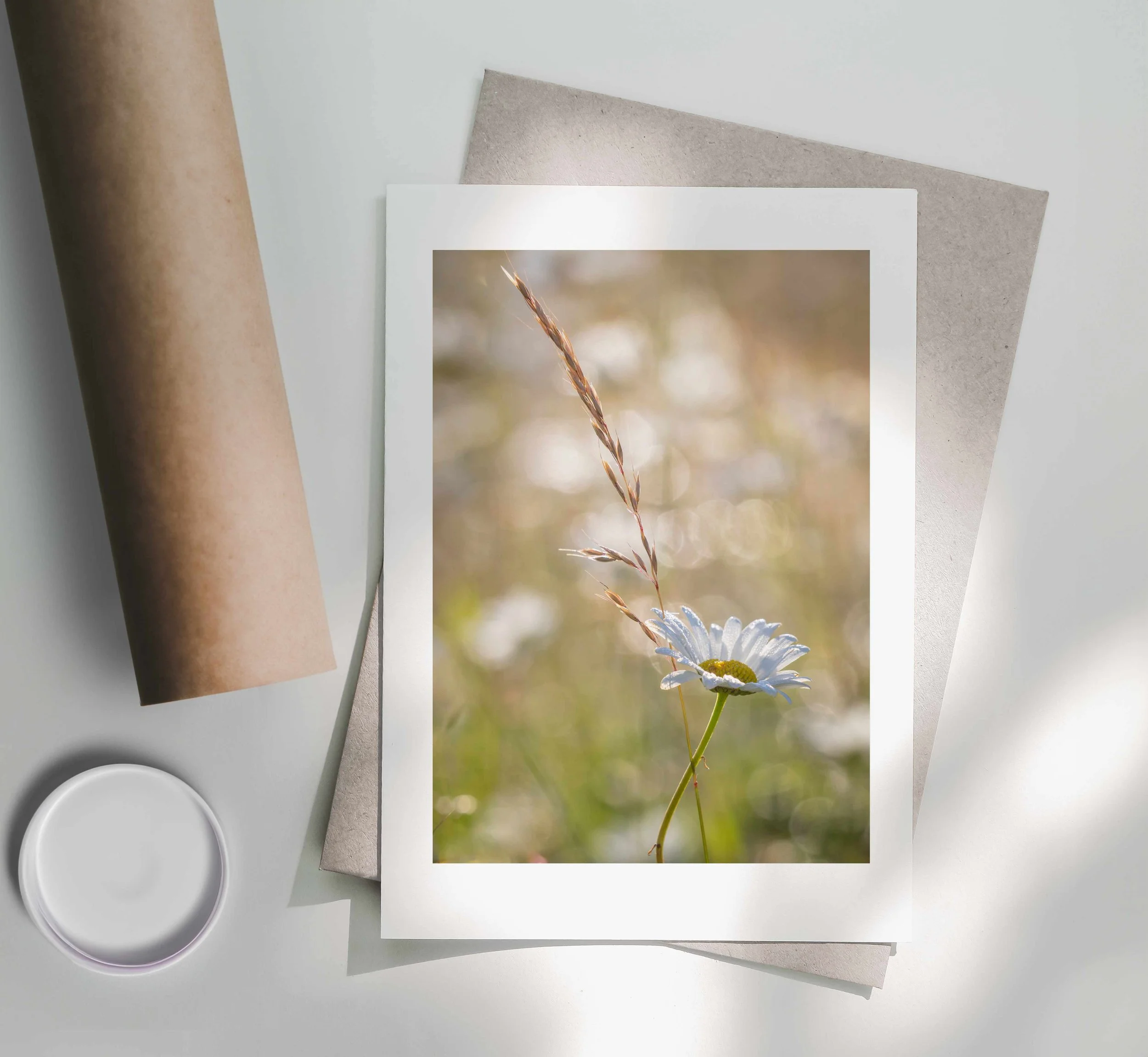 Entwined-Print-Postal-Tube.jpg