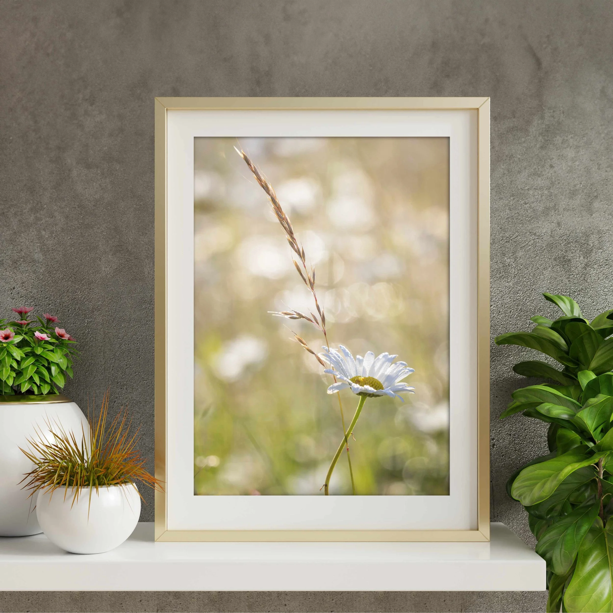 Entwined-Framed.jpg