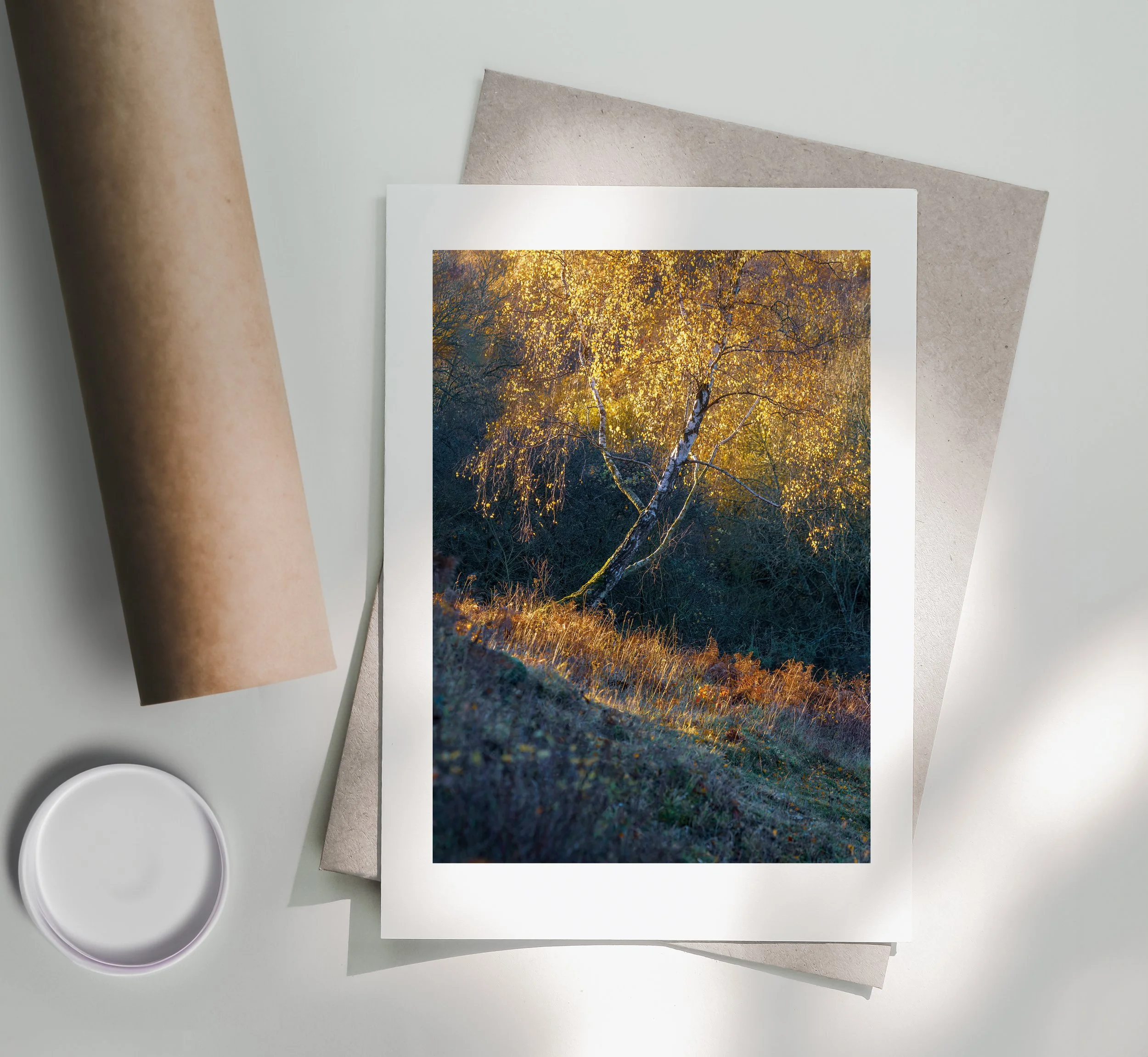 Iridescence-Print-Postal-Tube_Portrait.jpg