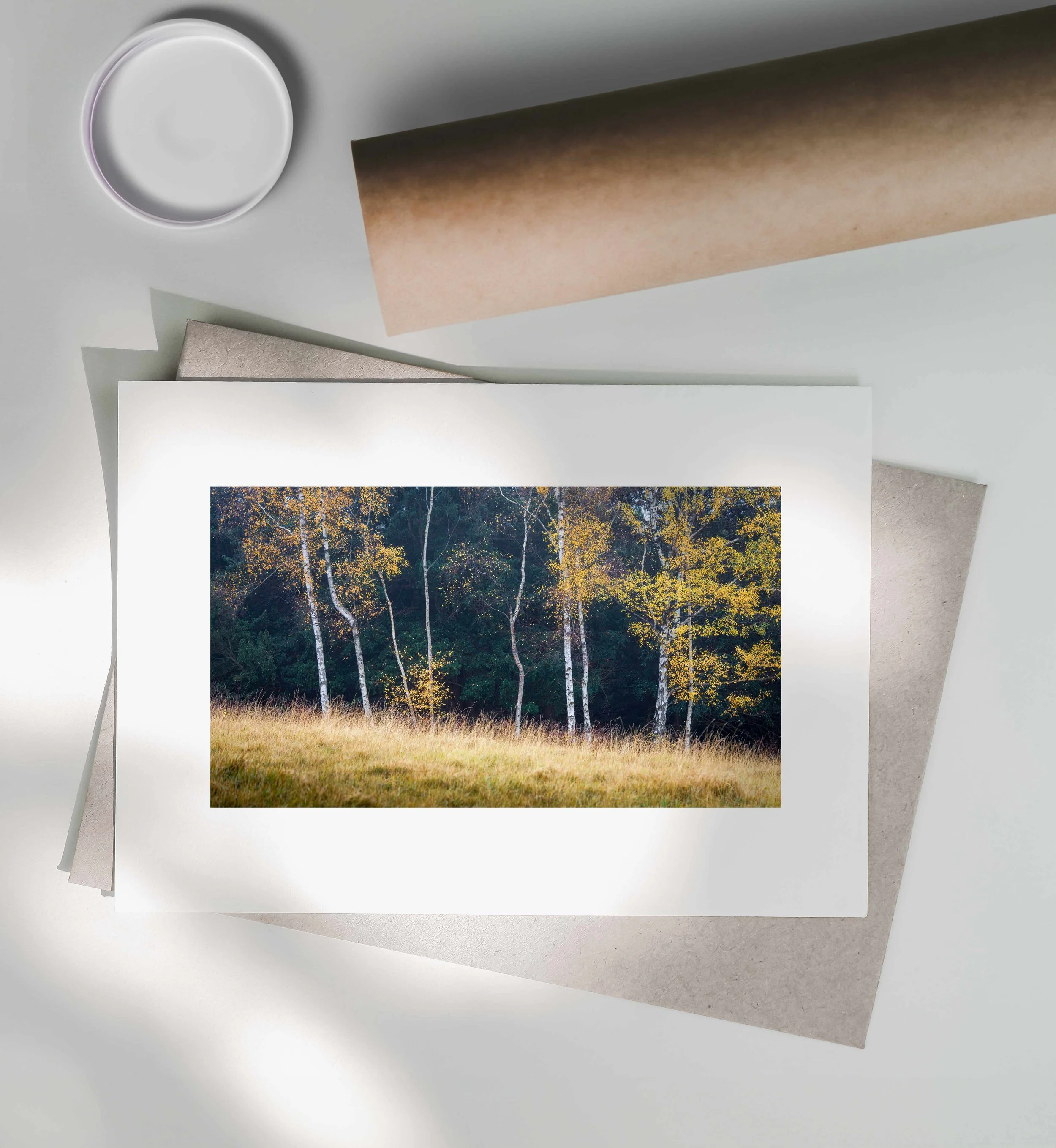 Natural-Rythmn-Print-Postal-Tube.jpg