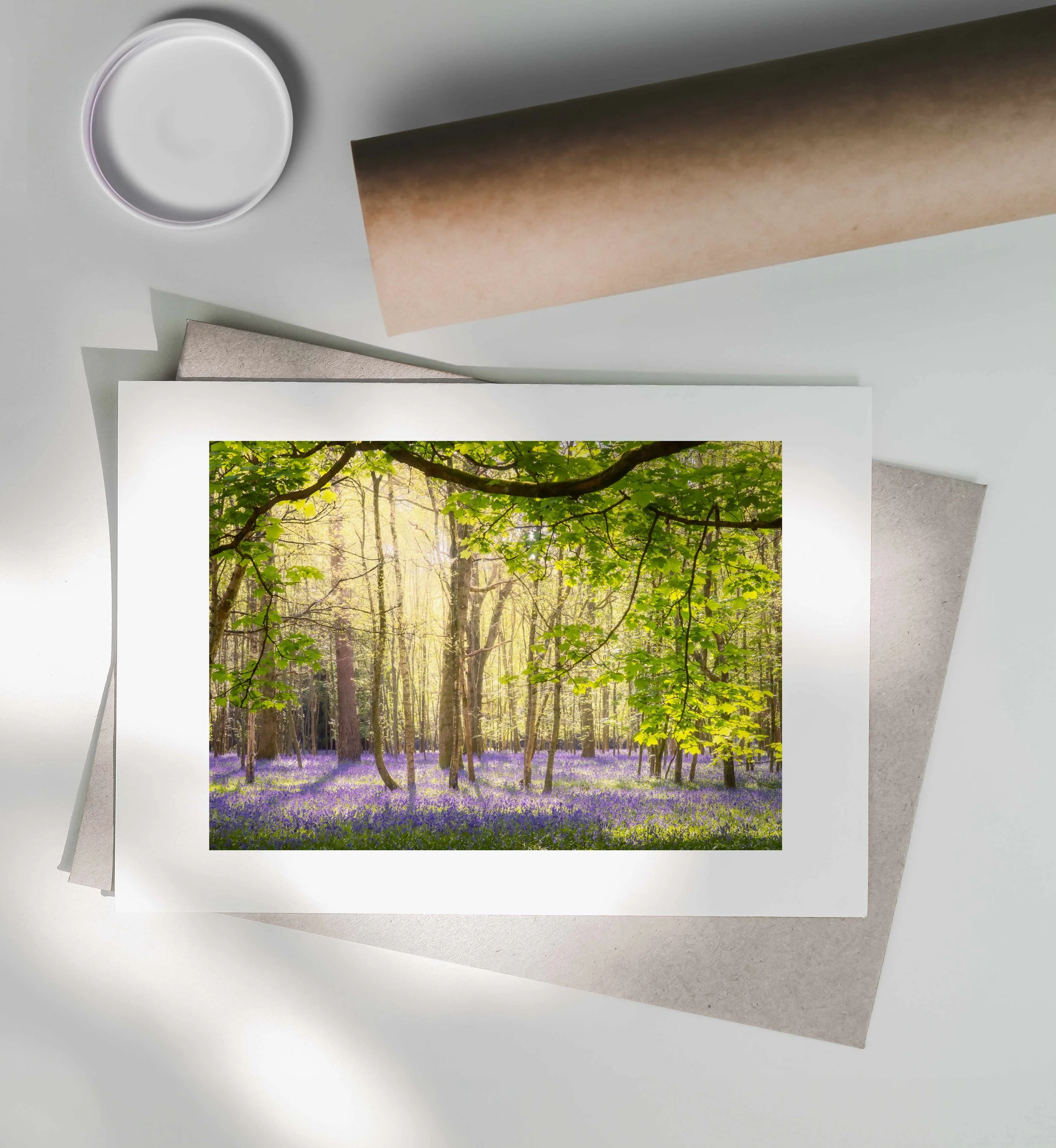 Bluebell Wood-Print-Postal-Tube.jpg