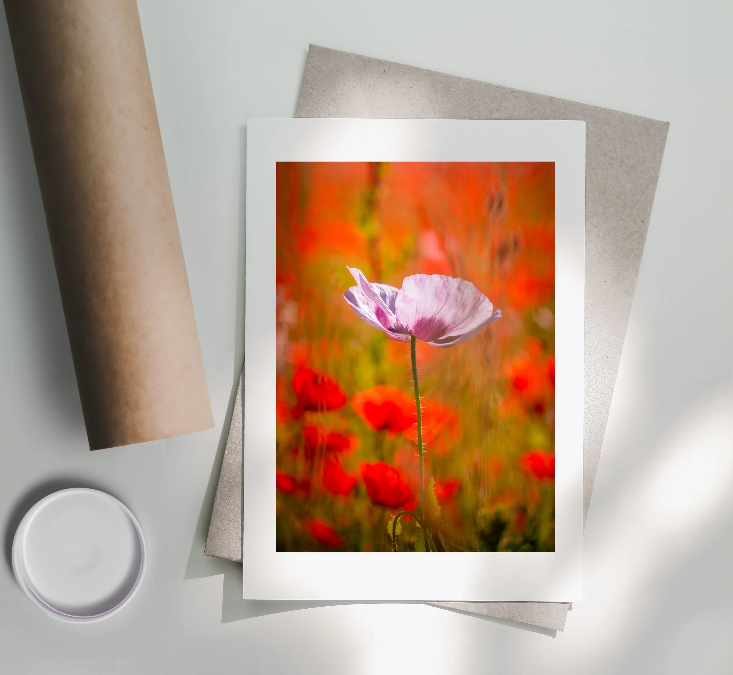 PinkPoppy-Print-Postal-Tube.jpg