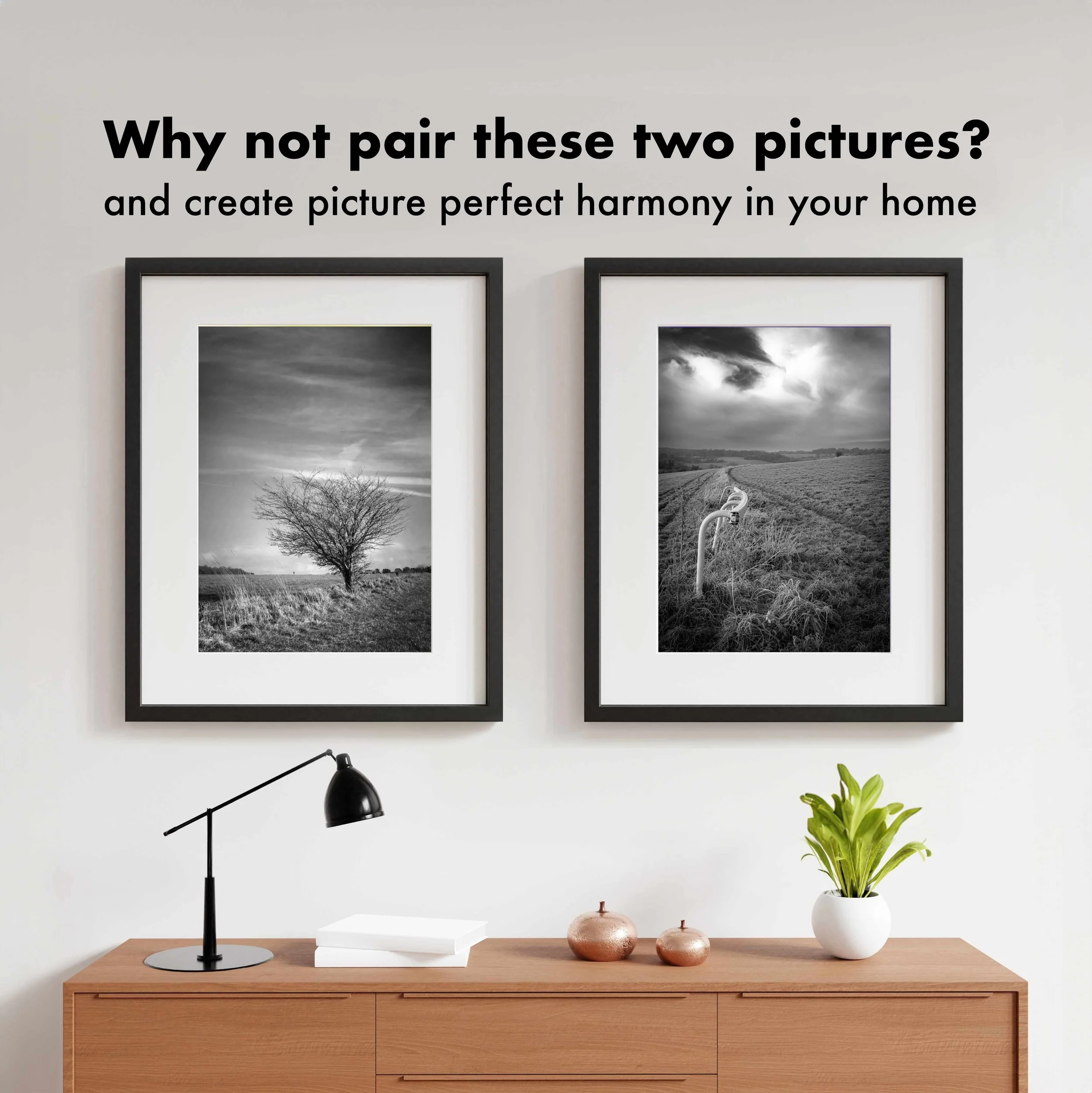 Open-Sky-Pair.jpg