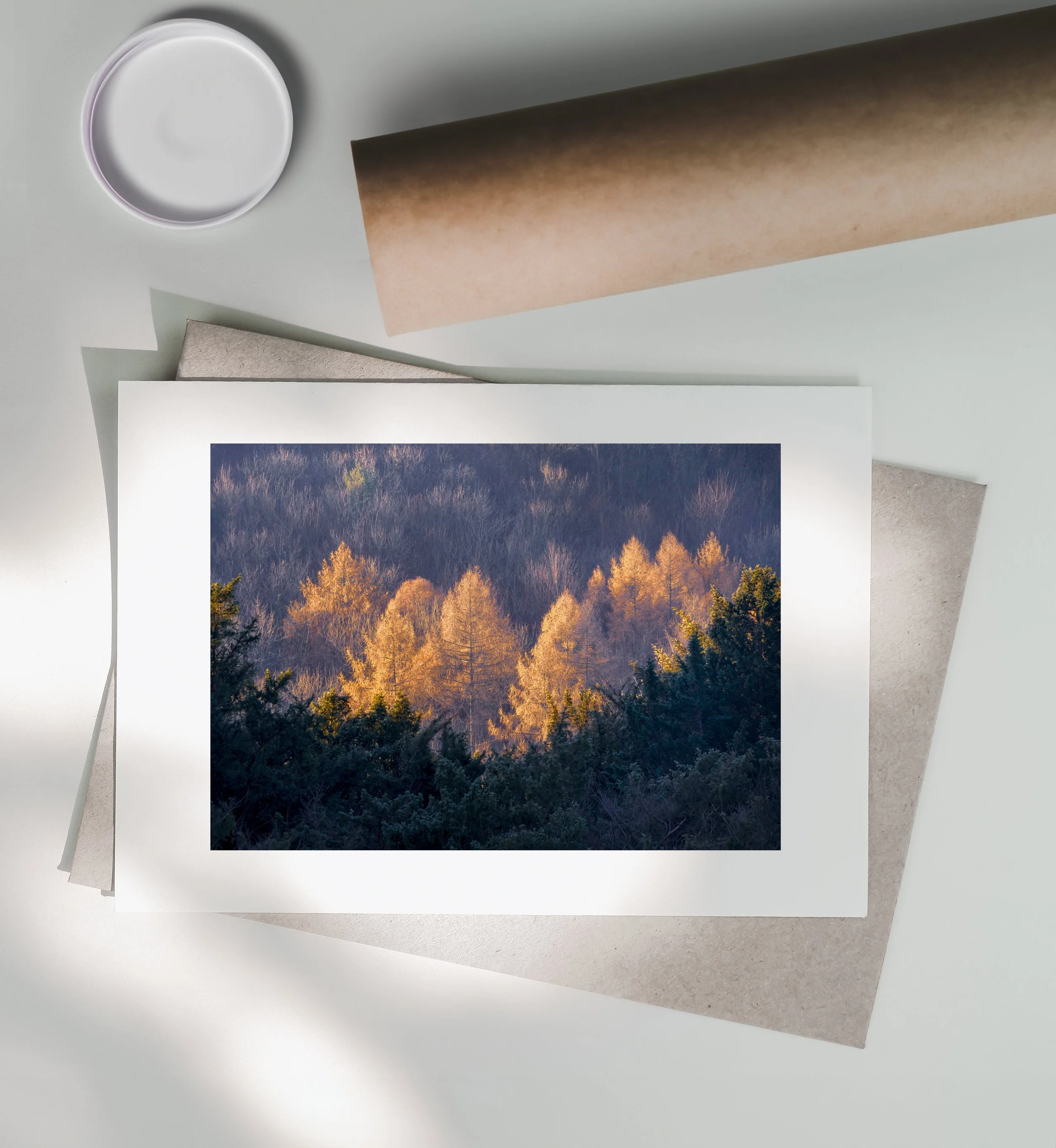 Catching-The-Morning-Sun_Print-Postal-Tube.jpg