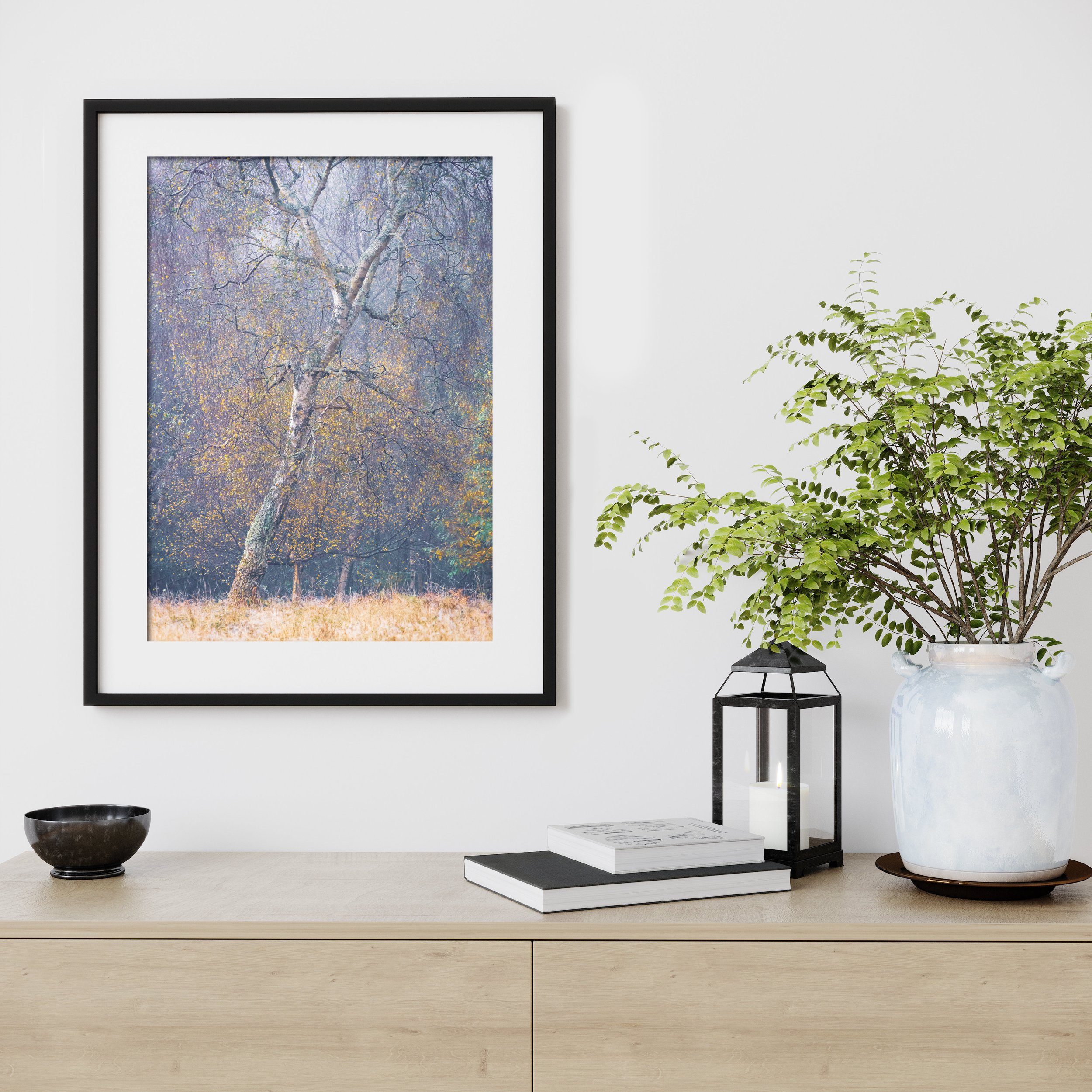Last-Of-Autumn-Colour-Framed.jpg
